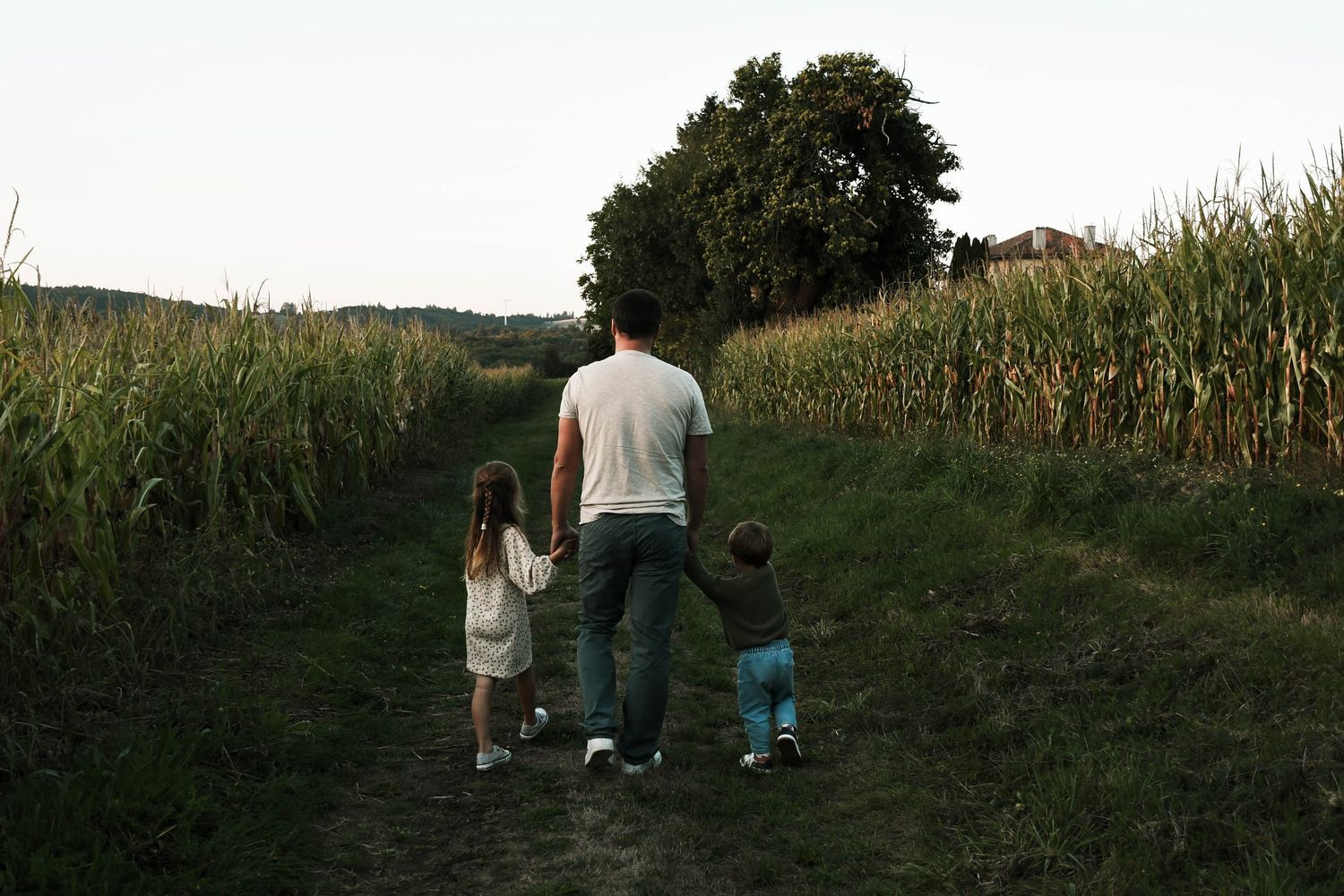 Enfant photographié en pleine nature lors d’une séance famille