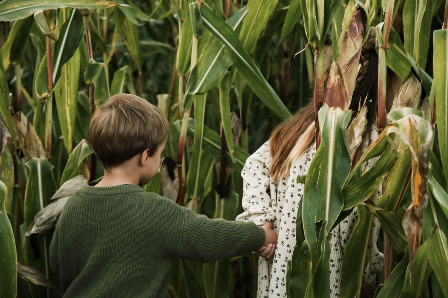 Enfant photographié en pleine nature lors d’une séance famille