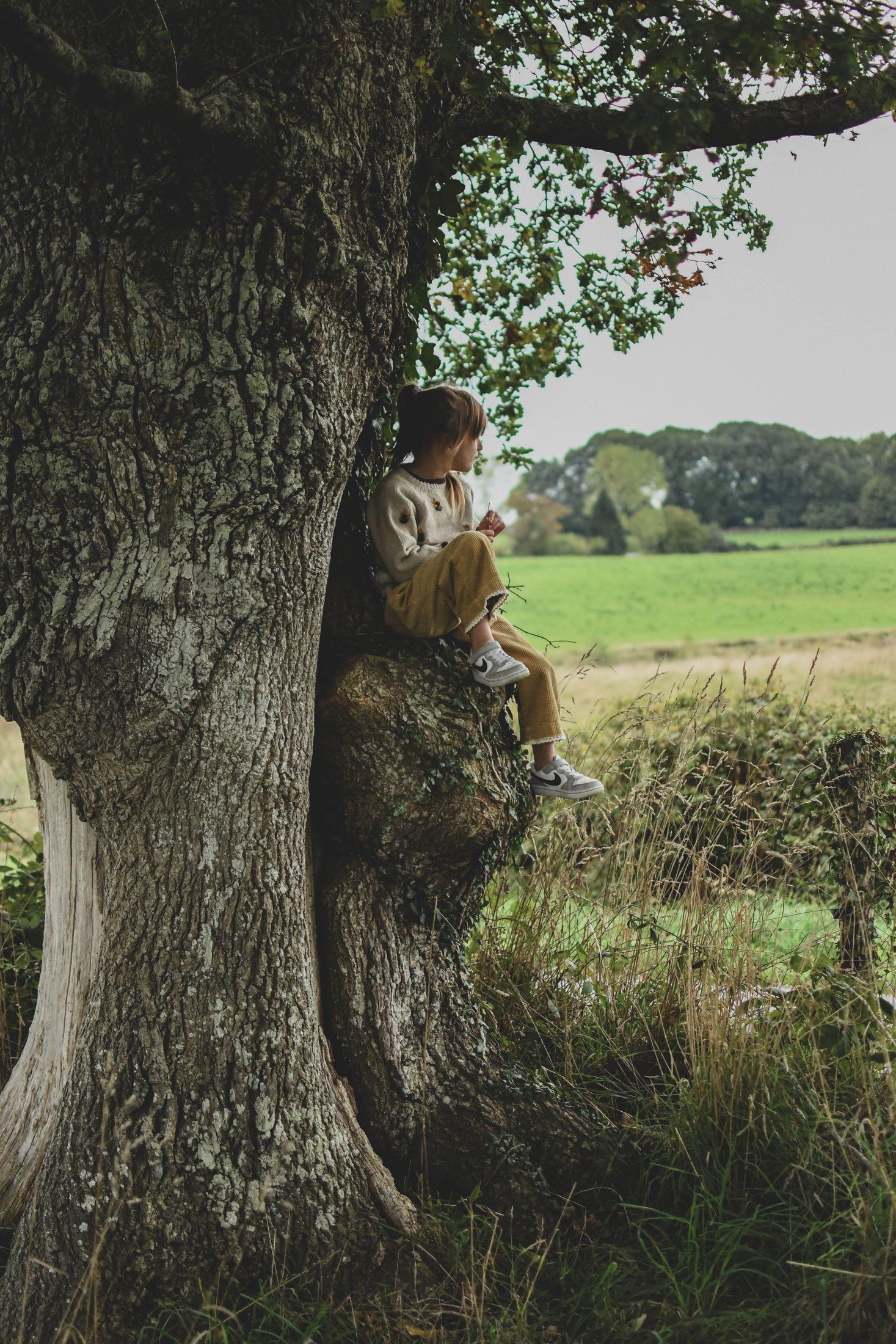 Enfant photographié en pleine nature lors d’une séance famille