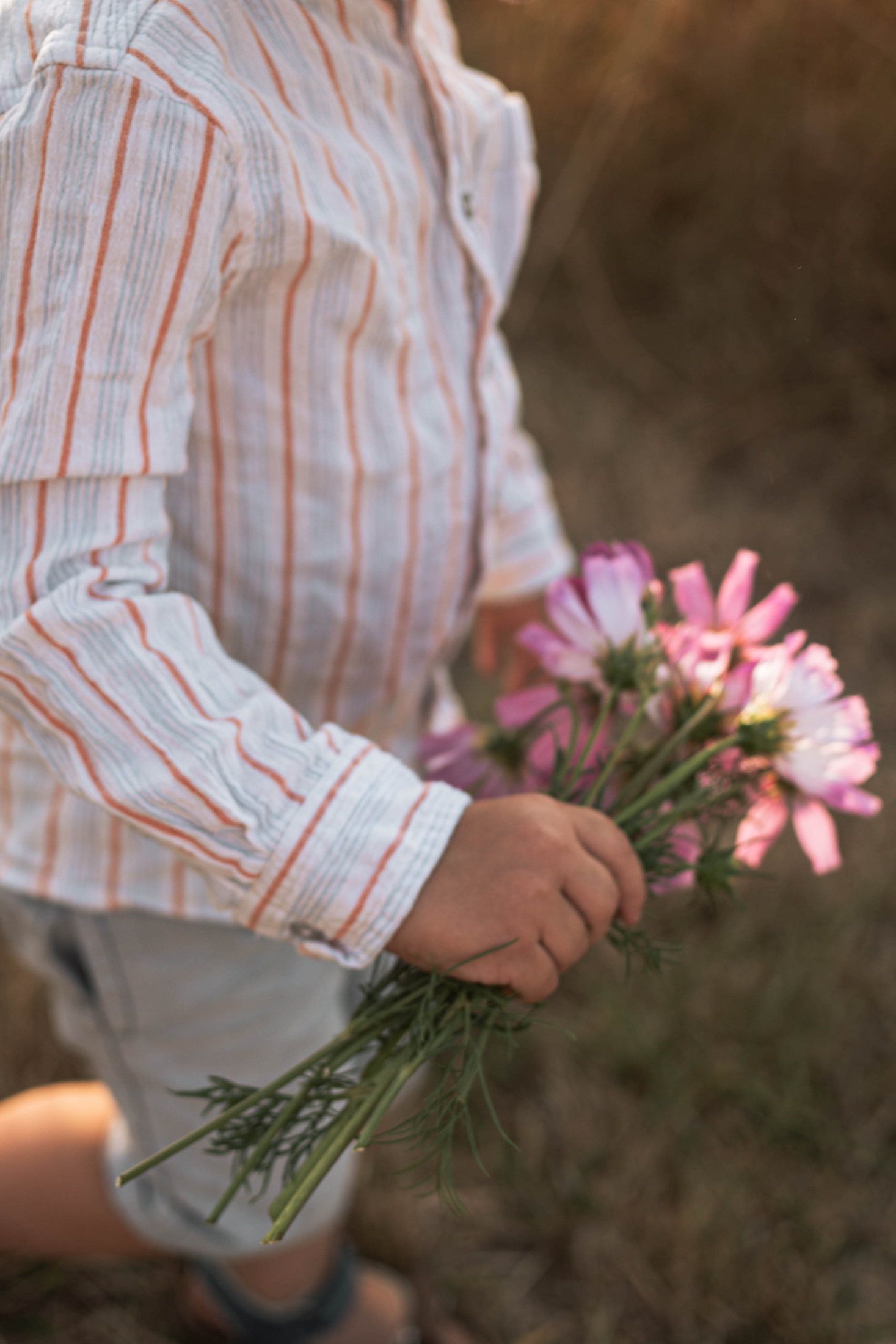 Enfant photographié en pleine nature lors d’une séance famille