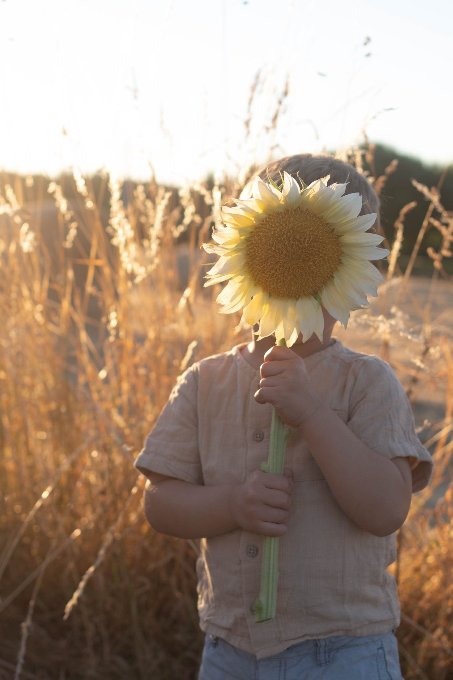 Enfant photographié en pleine nature lors d’une séance famille