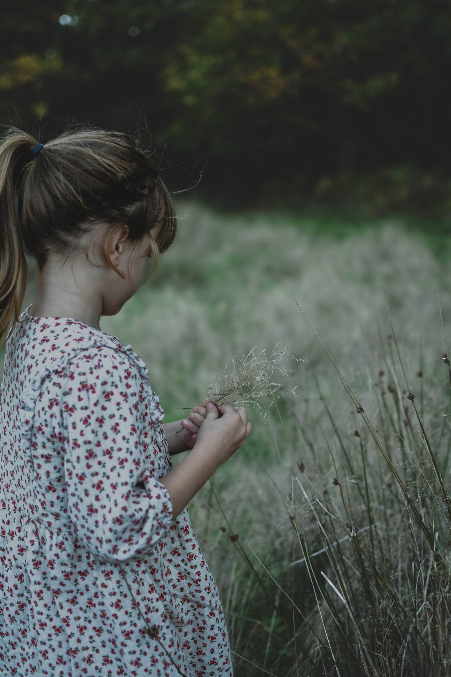 Enfant photographié en pleine nature lors d’une séance famille
