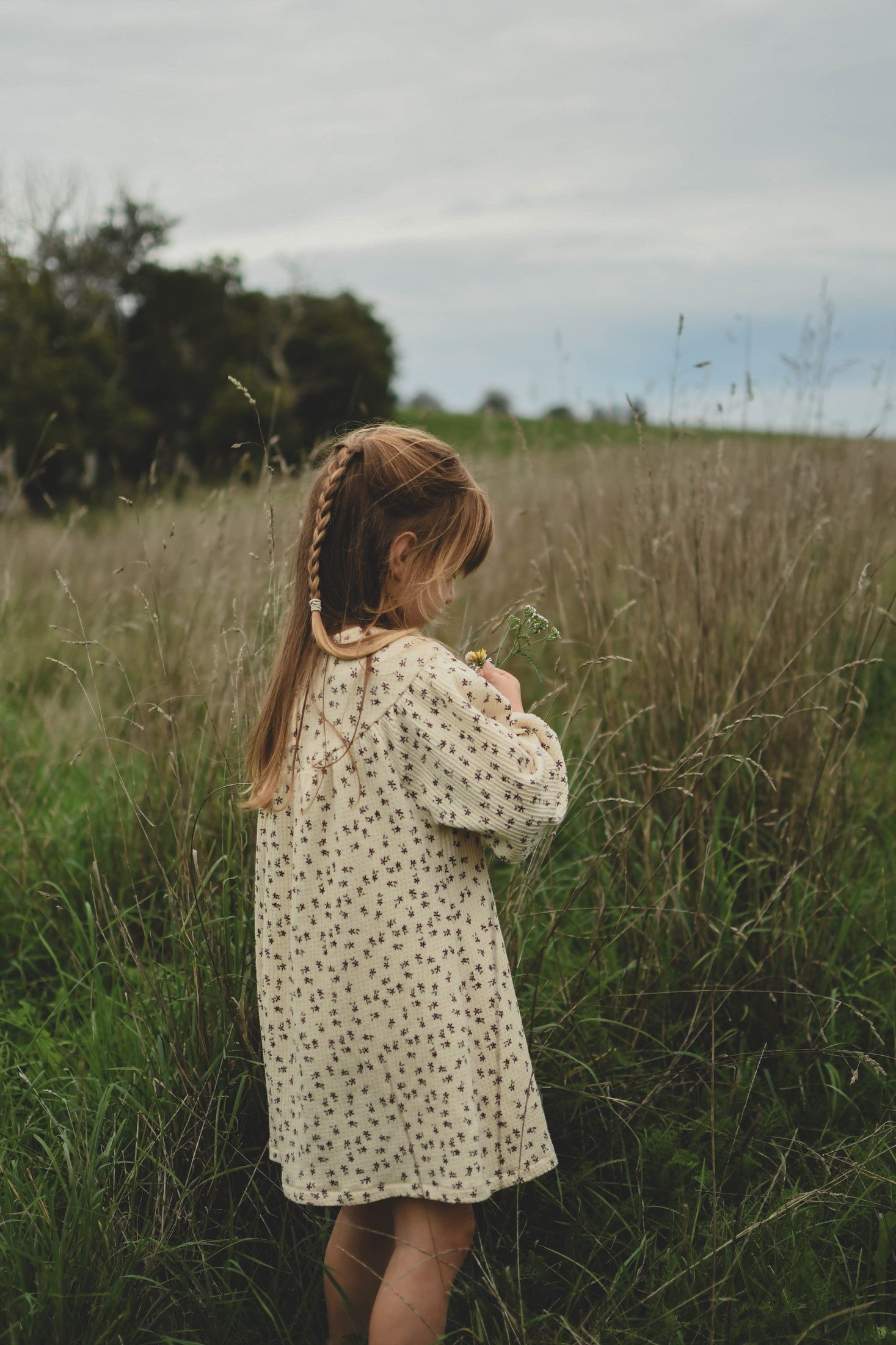 Enfant photographié en pleine nature lors d’une séance famille
