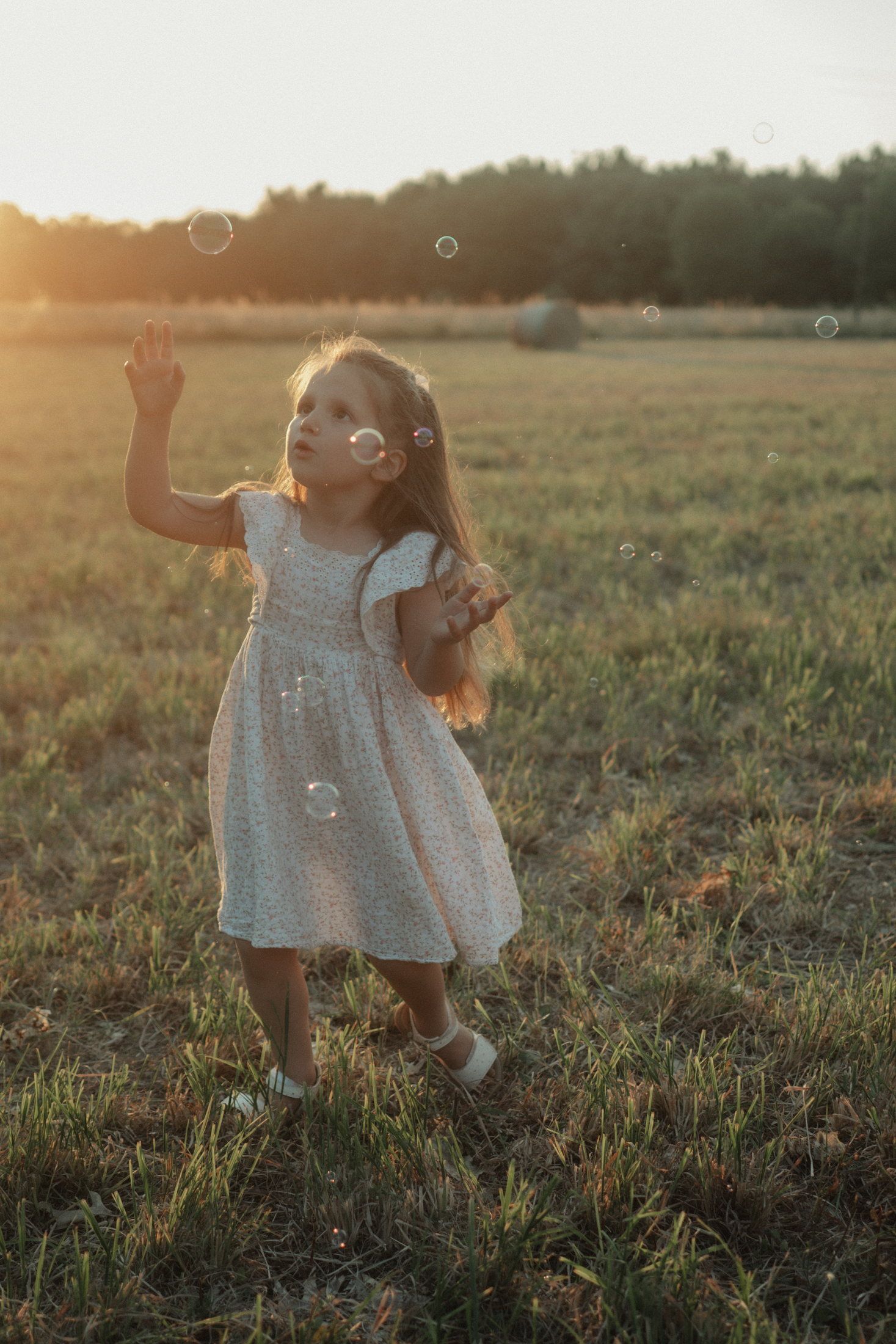 Famille photographiée au coucher du soleil en Haute-Vienne