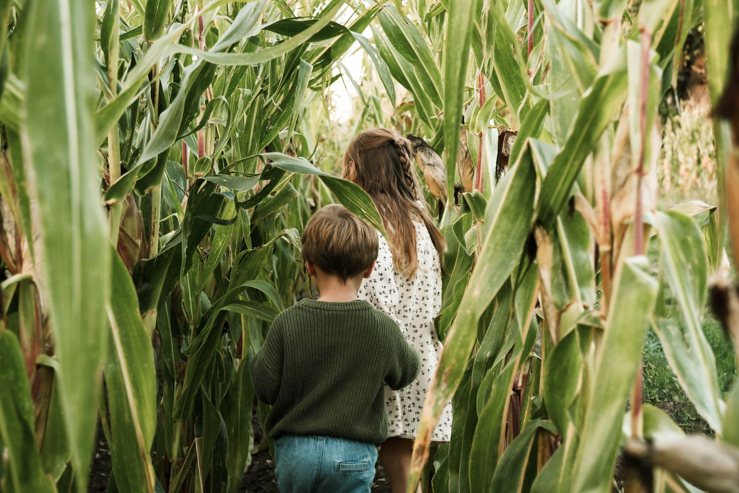 Enfant photographié en pleine nature lors d’une séance famille