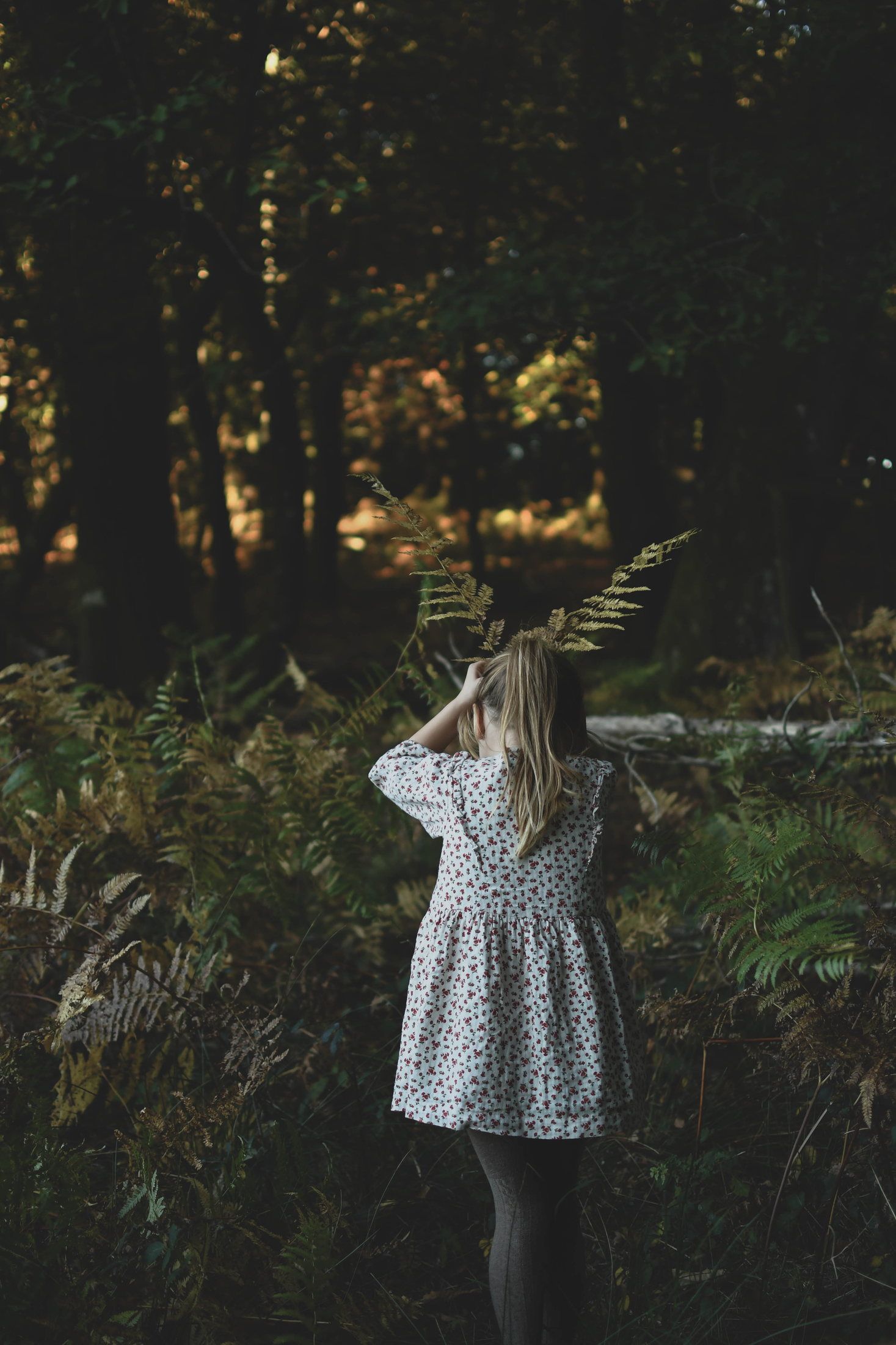 Enfant photographié en pleine nature lors d’une séance famille