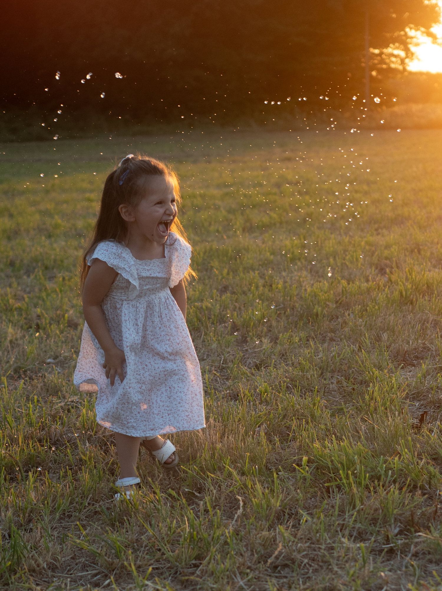 Famille photographiée au coucher du soleil en Haute-Vienne