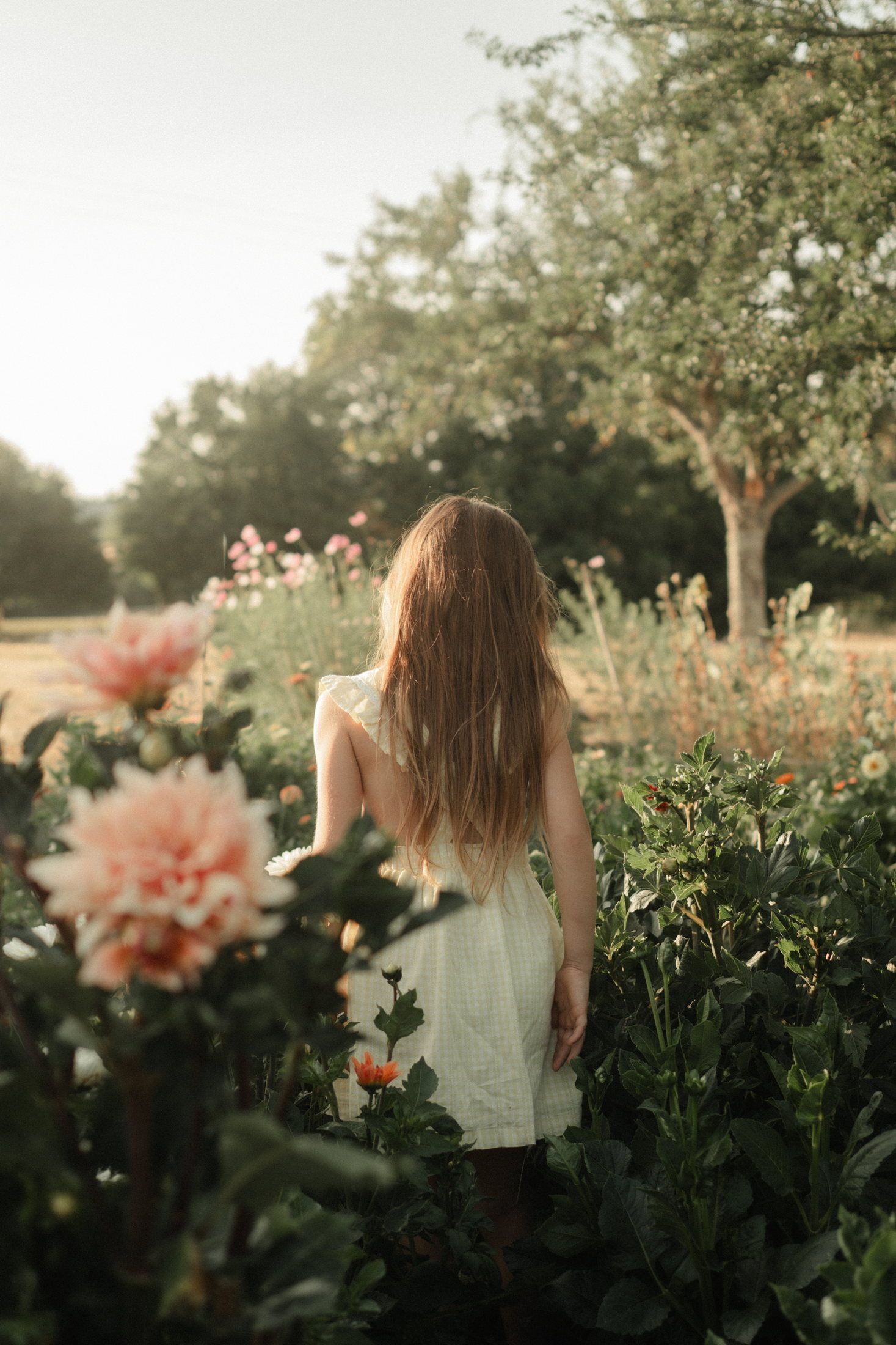Enfant photographié en pleine nature lors d’une séance famille