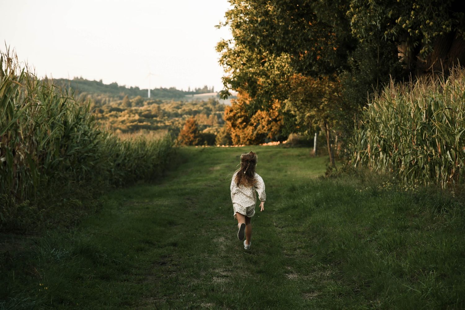 Enfant photographié en pleine nature lors d’une séance famille