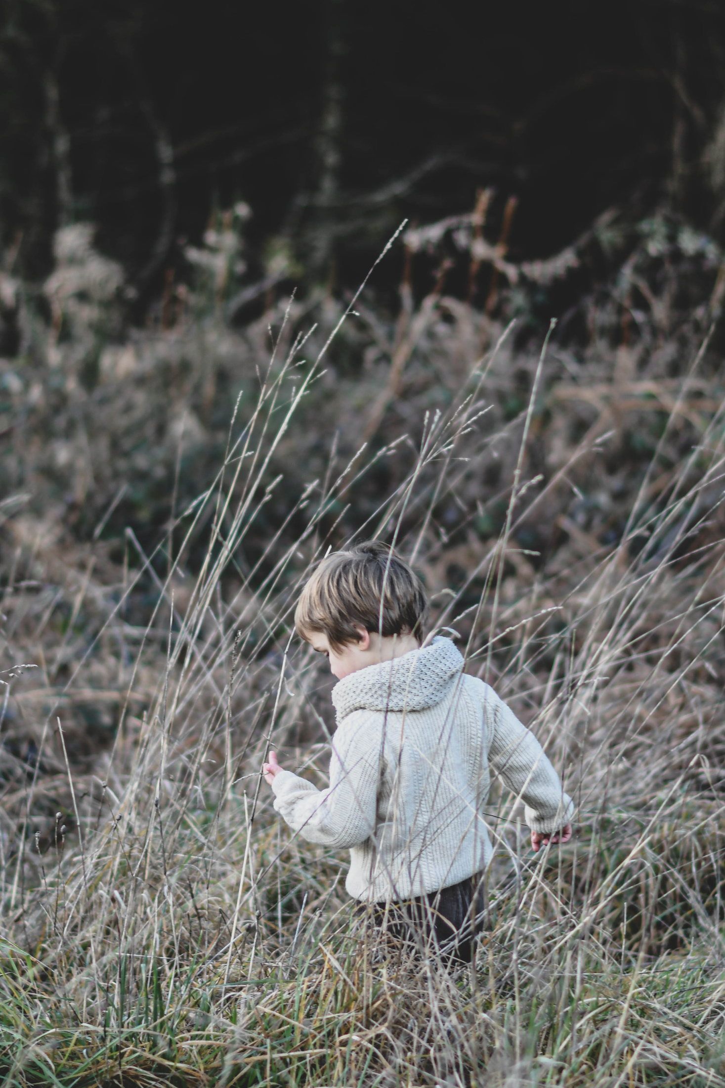 Enfant photographié en pleine nature lors d’une séance famille