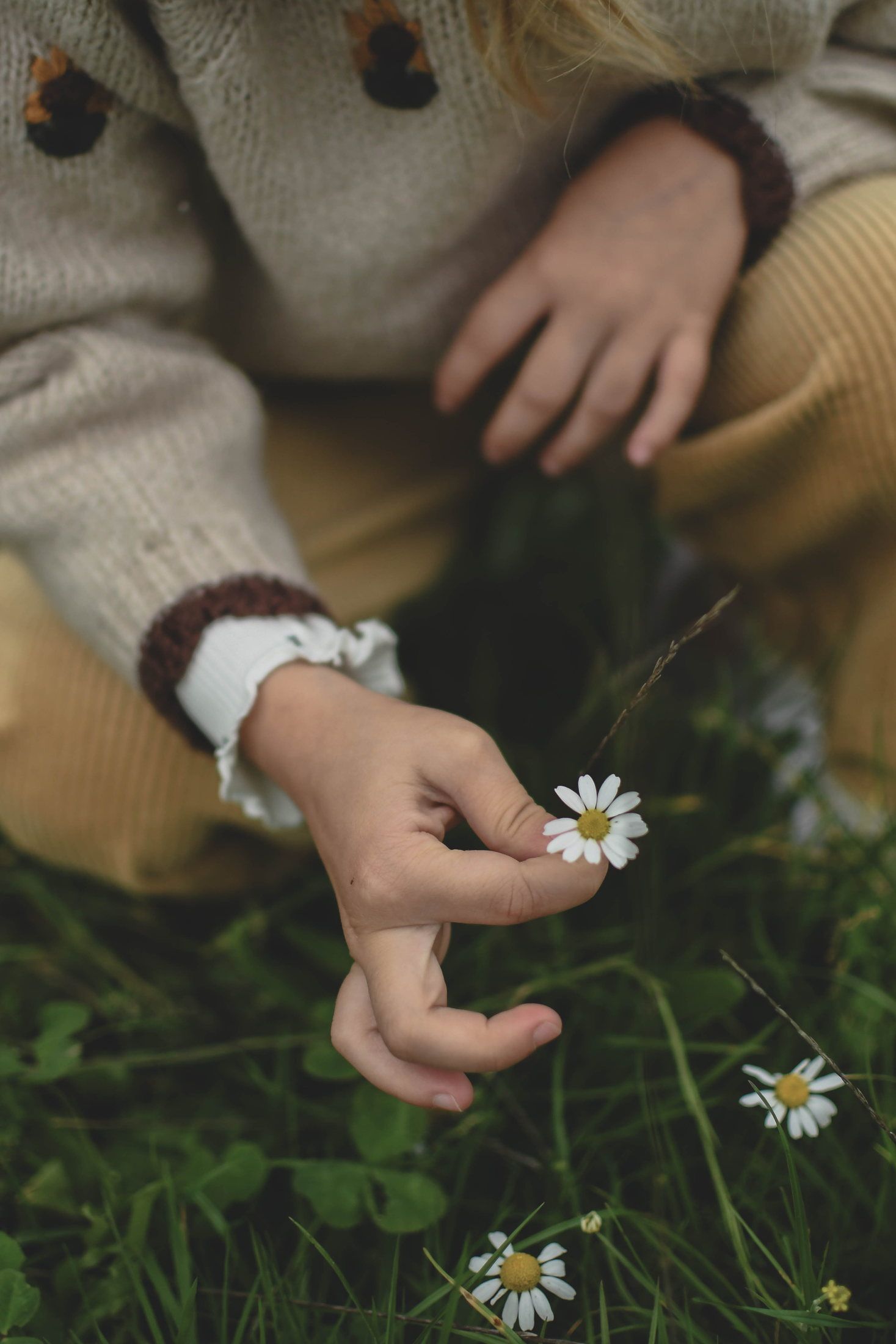 Enfant photographié en pleine nature lors d’une séance famille