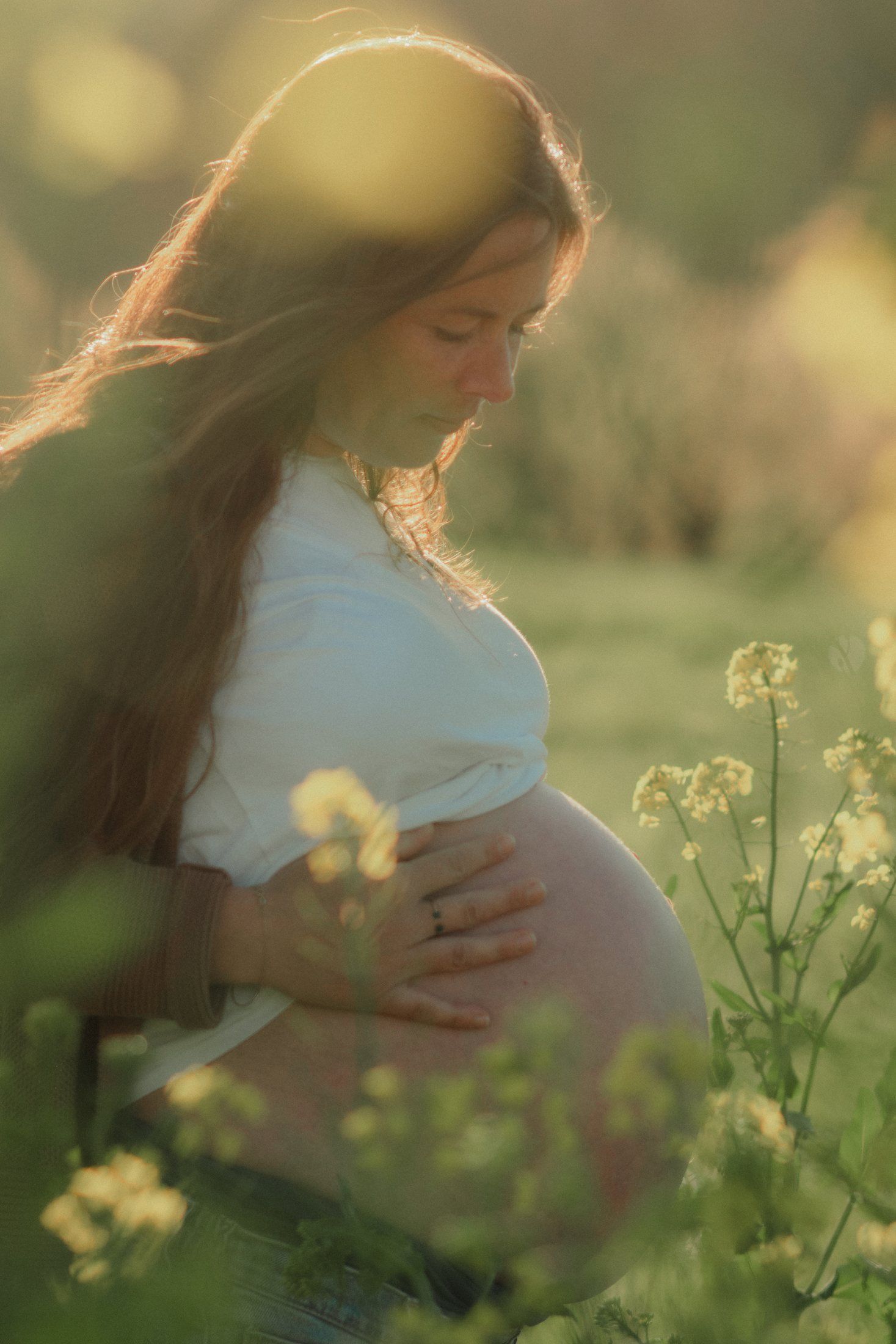Future maman dans un champ baigné par la lumière du soir