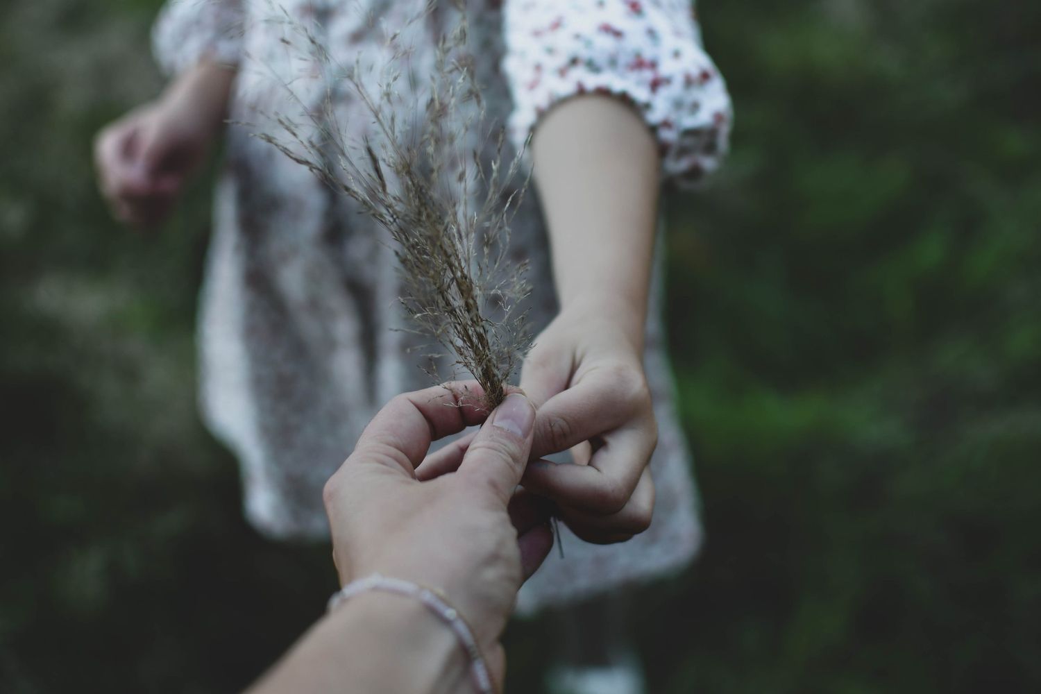 Enfant photographié en pleine nature lors d’une séance famille