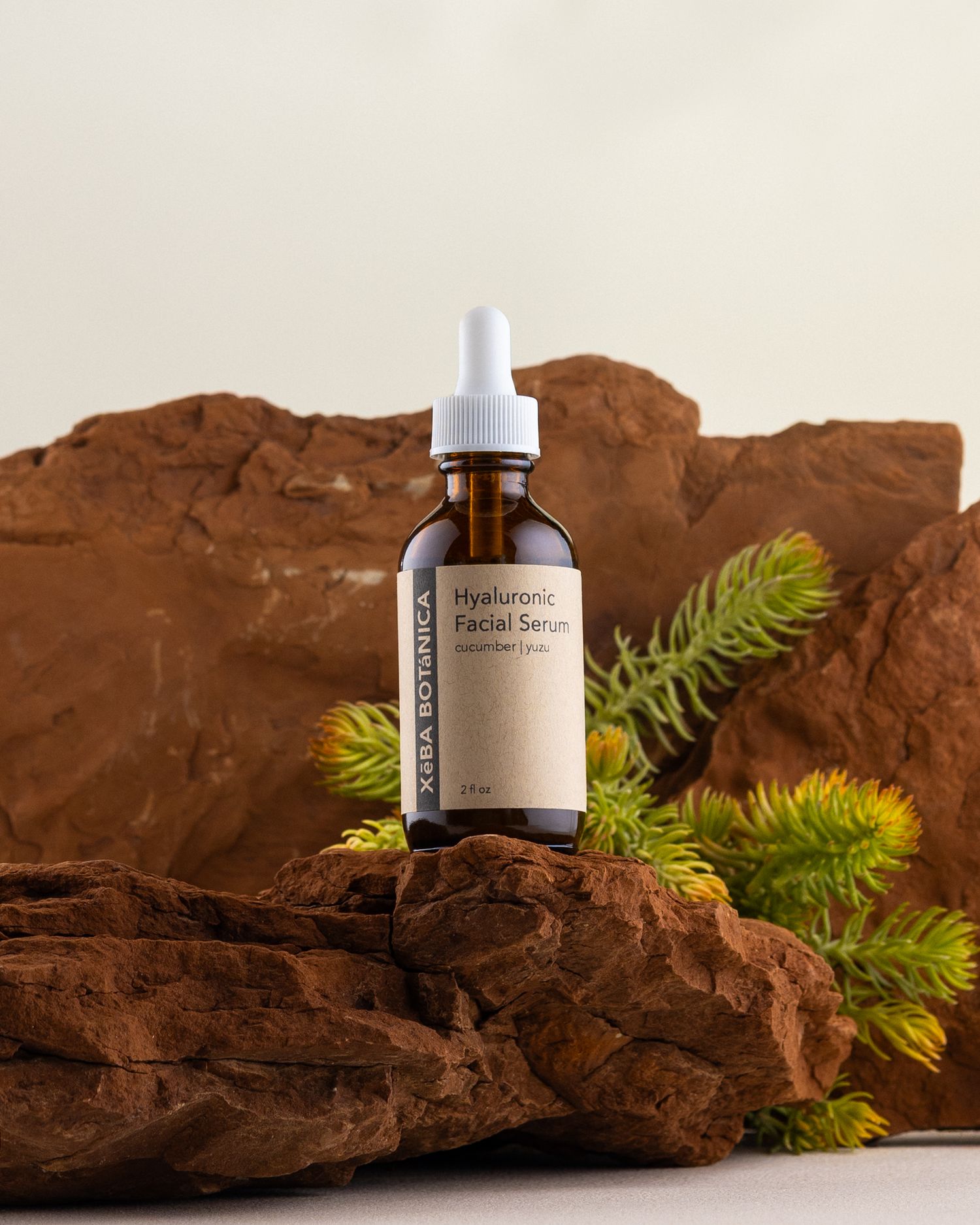 Xeba Botanica Hyaluronic Facial Serum bottle displayed on brown rocks with green plants backdrop.
