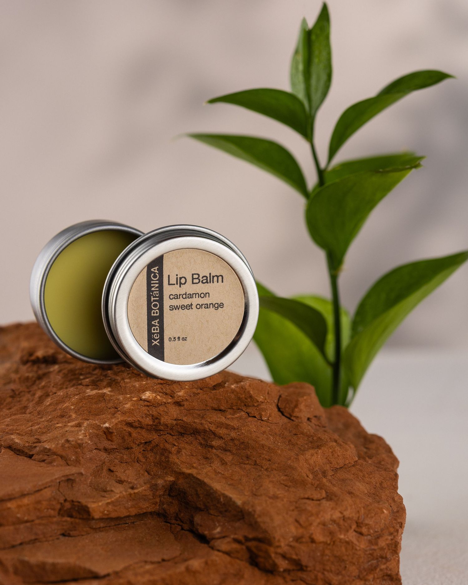 Xeba Botanica cardamom sweet orange Lip Balm tin on red rock beside a green tropical plant.