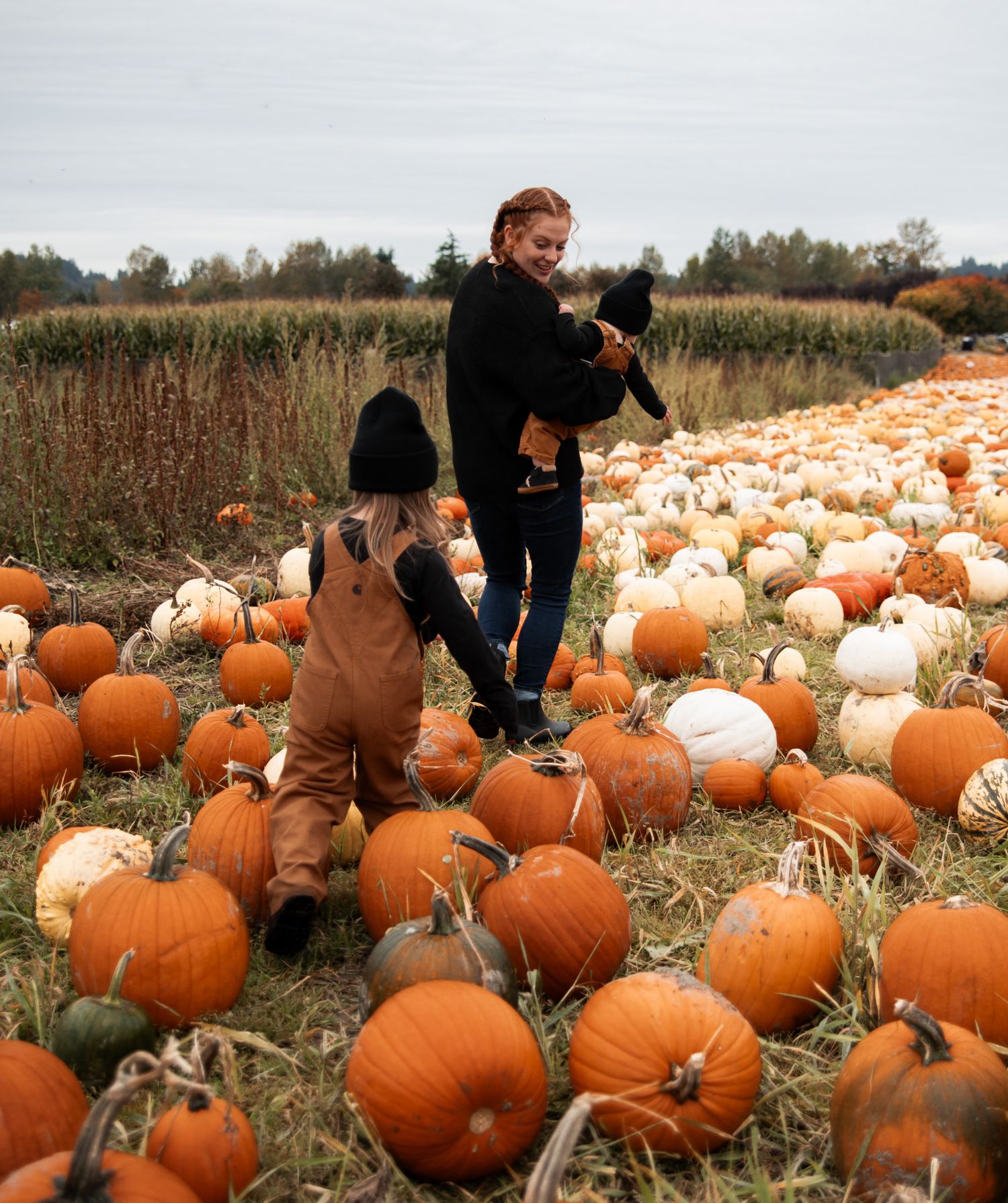 pumpkin patch photo of a family