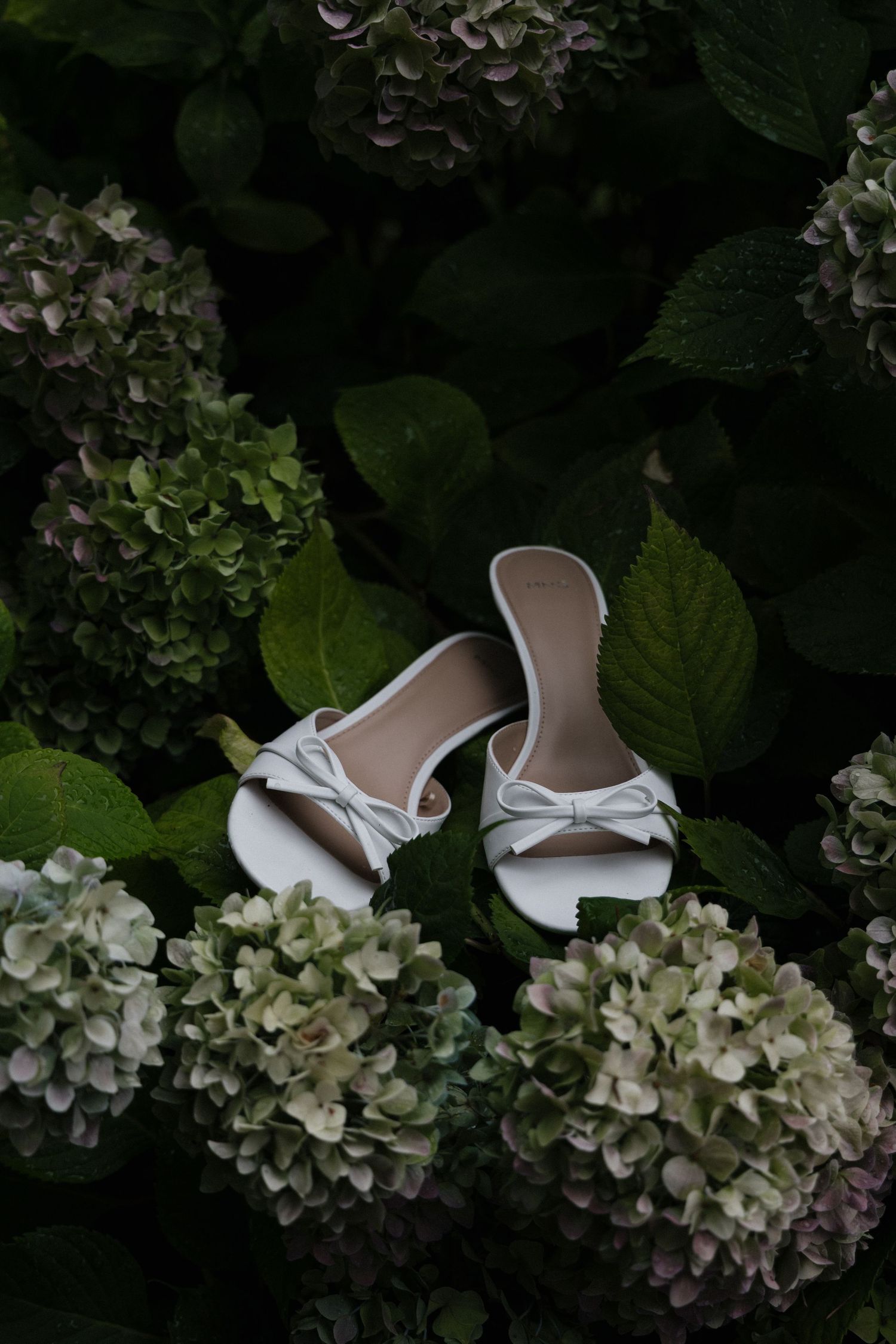 White bridal heels with bow detail nestled among blooming hydrangea flowers in a garden.