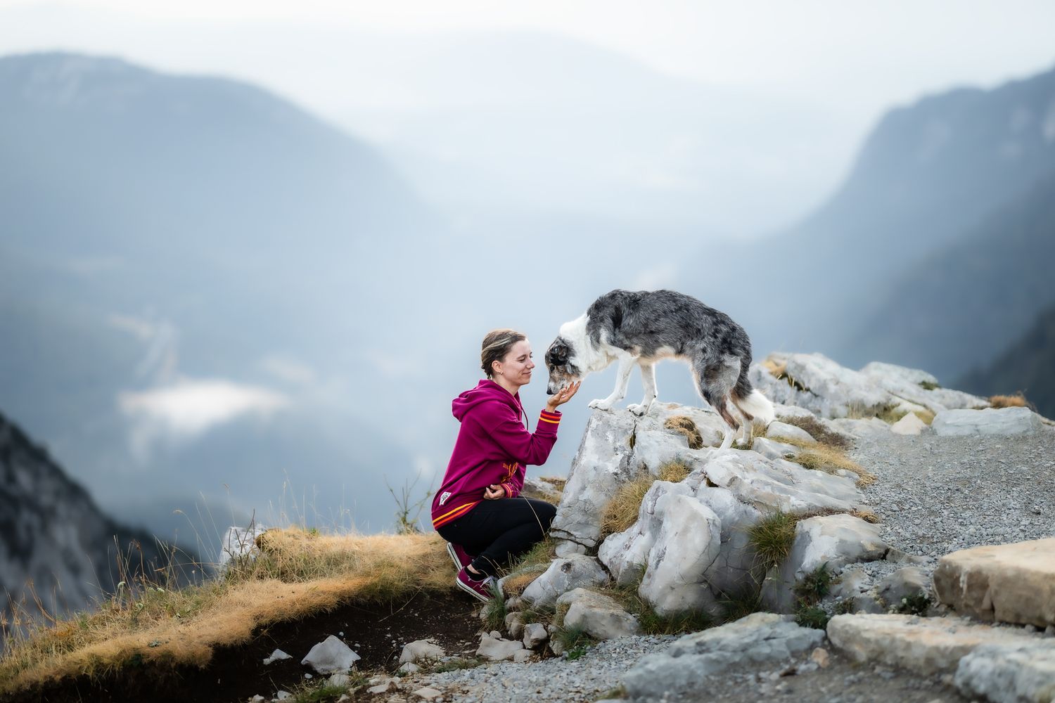 Woman in bordeaux hoodie kneeling in front of a stone and interacting with the on top standing merle Border Collie on a mountain summit.