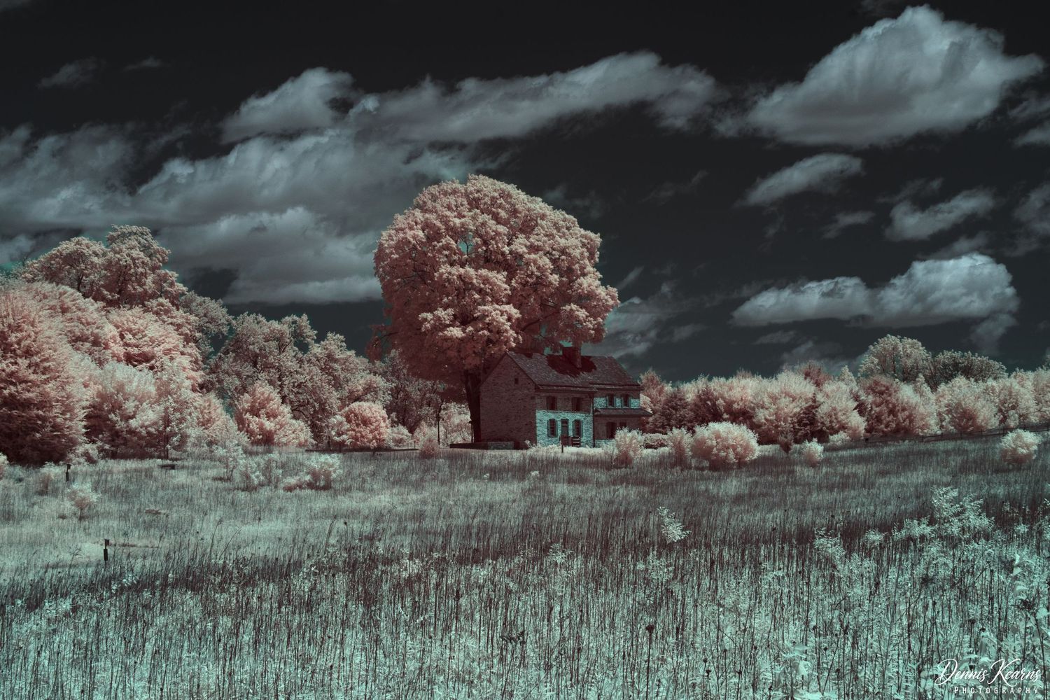 Infrared photography of the Webb farmhouse surrounded by glowing trees under dramatic cloudy skies in a serene field at longwood gardens.