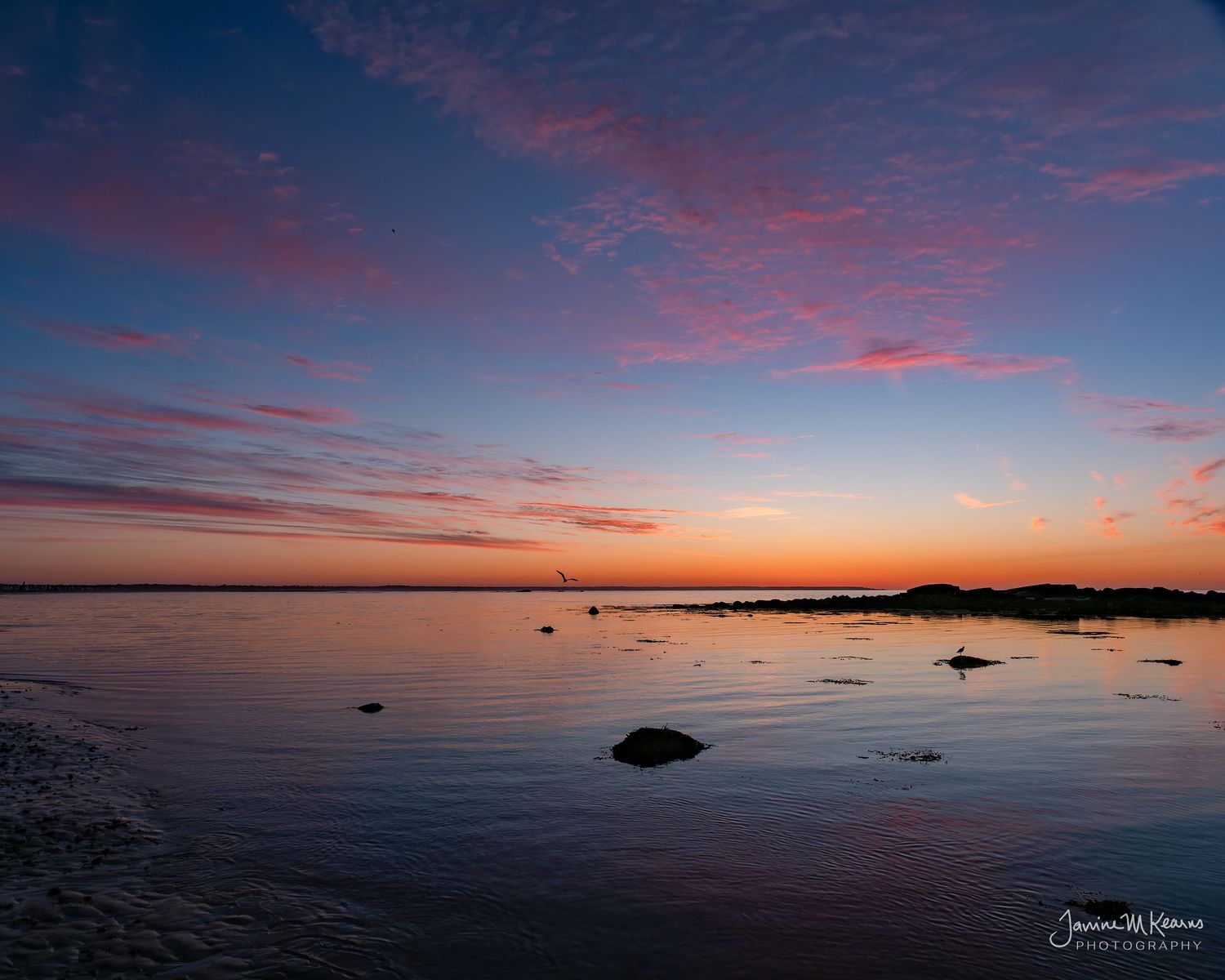 Sunrise on shoreline at Wells, Maine. Vibrant sky with pinks and coral clouds against brilliant blue sky.