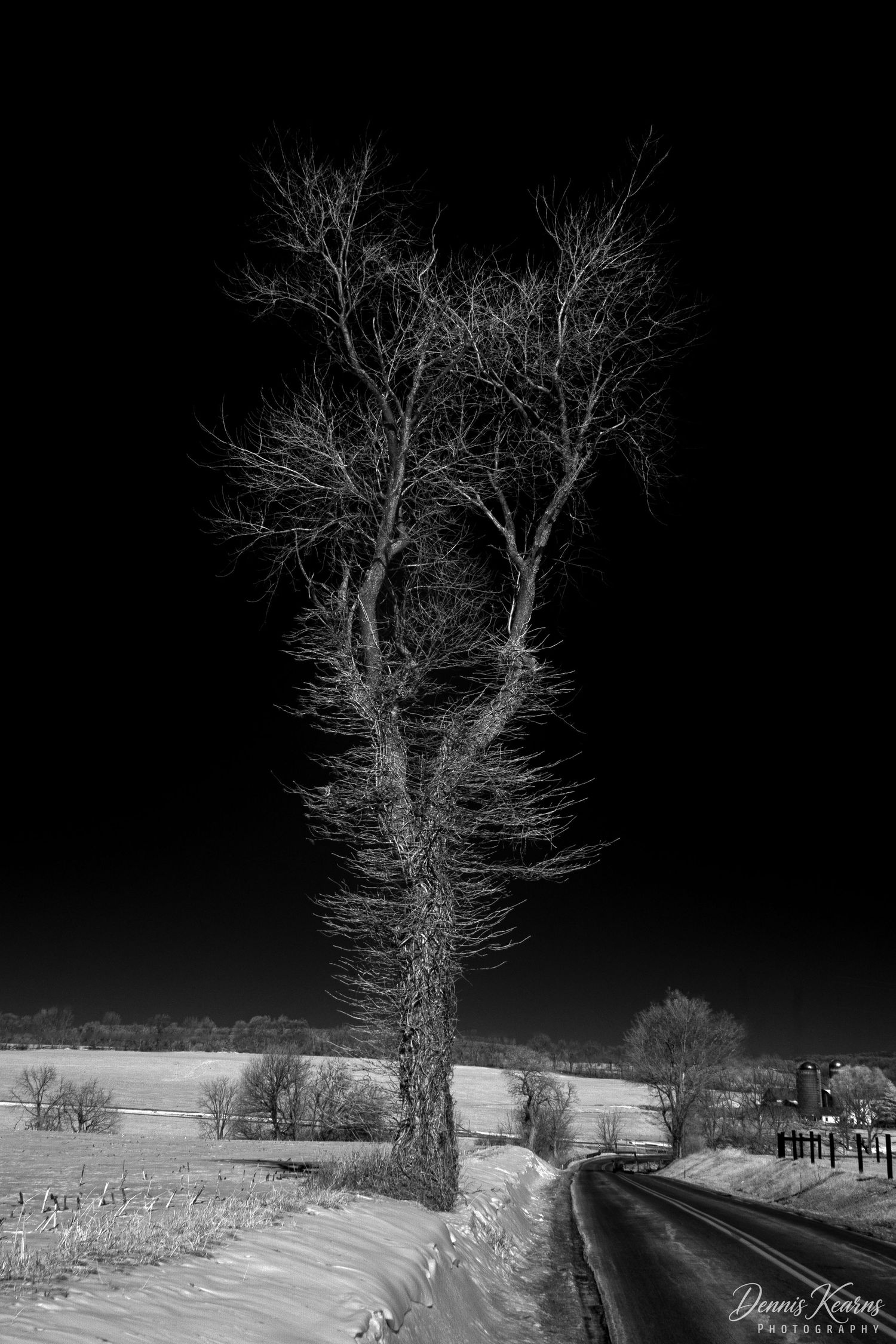 Black and white winter landscape with a bare tree beside a snow-covered road under a dark sky.