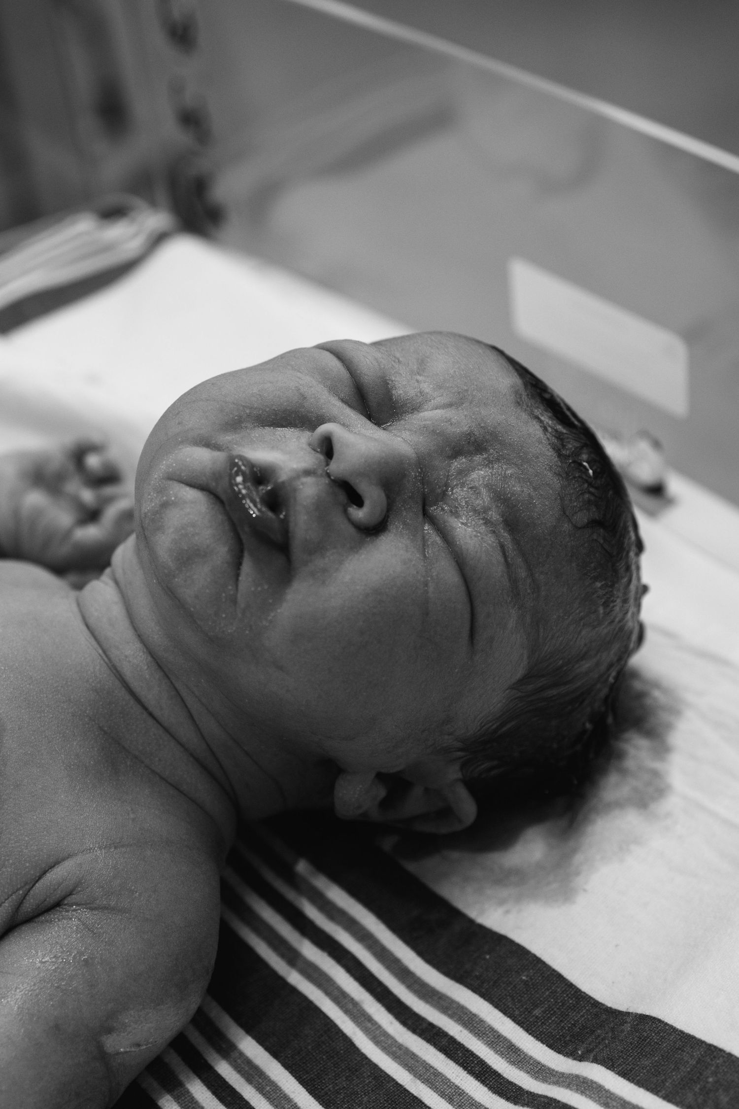 Infant