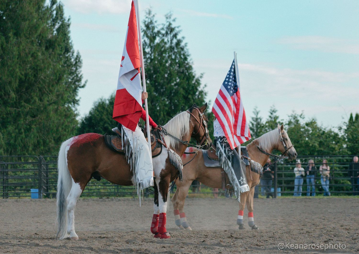 Two horses carrying Canadian and American flags stand in a dirt rodeo arena at dusk.