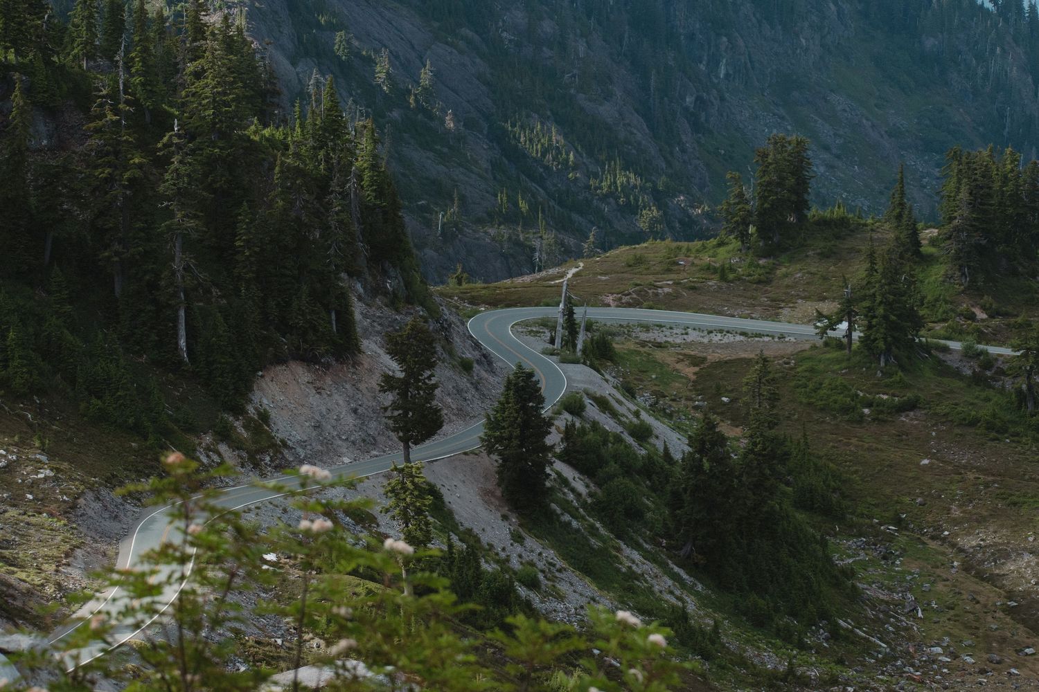 Winding mountain road with sharp curves surrounded by dense pine trees and rocky terrain.