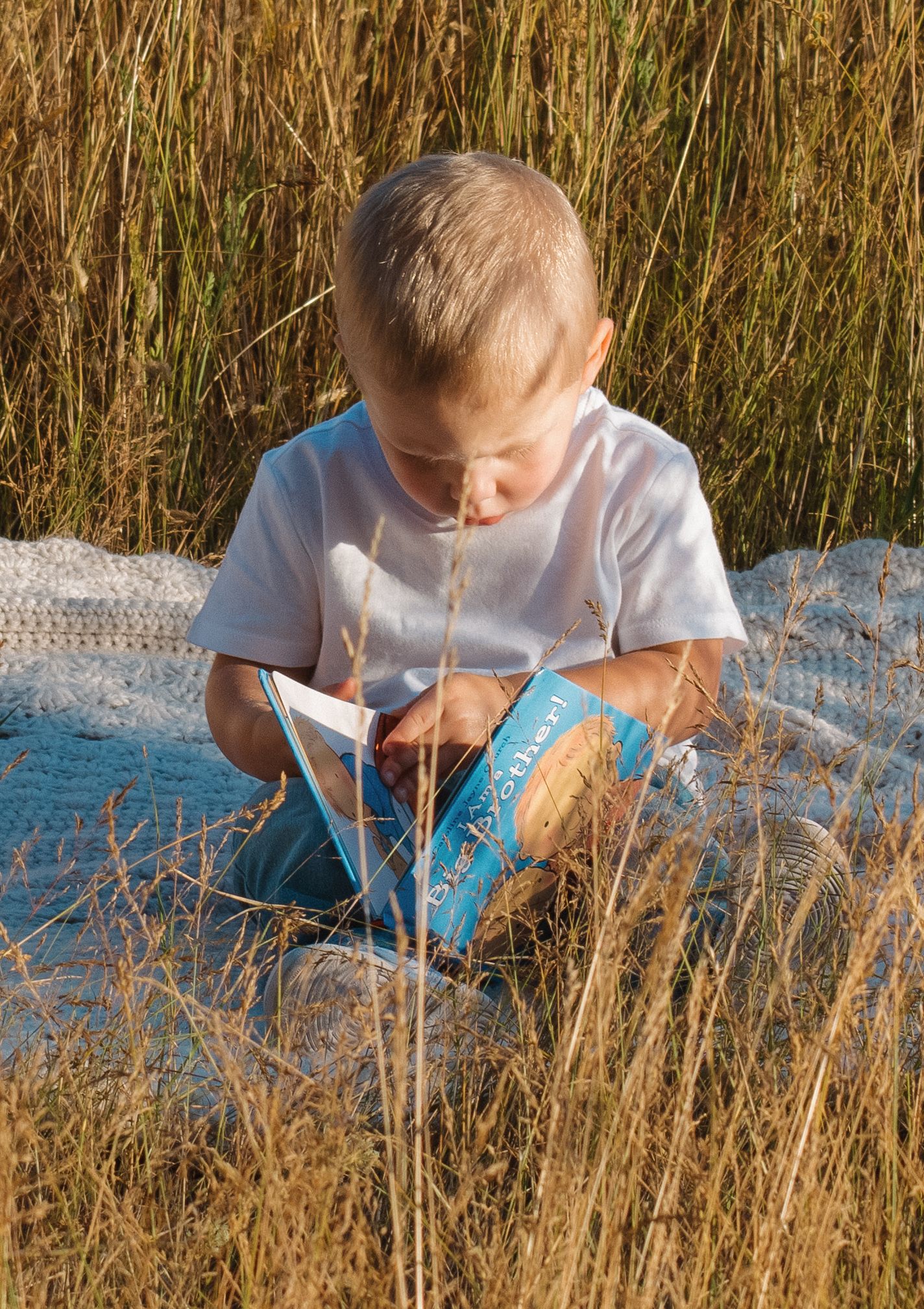 Young blonde boy reading a blue book while sitting in tall golden grass outdoors.