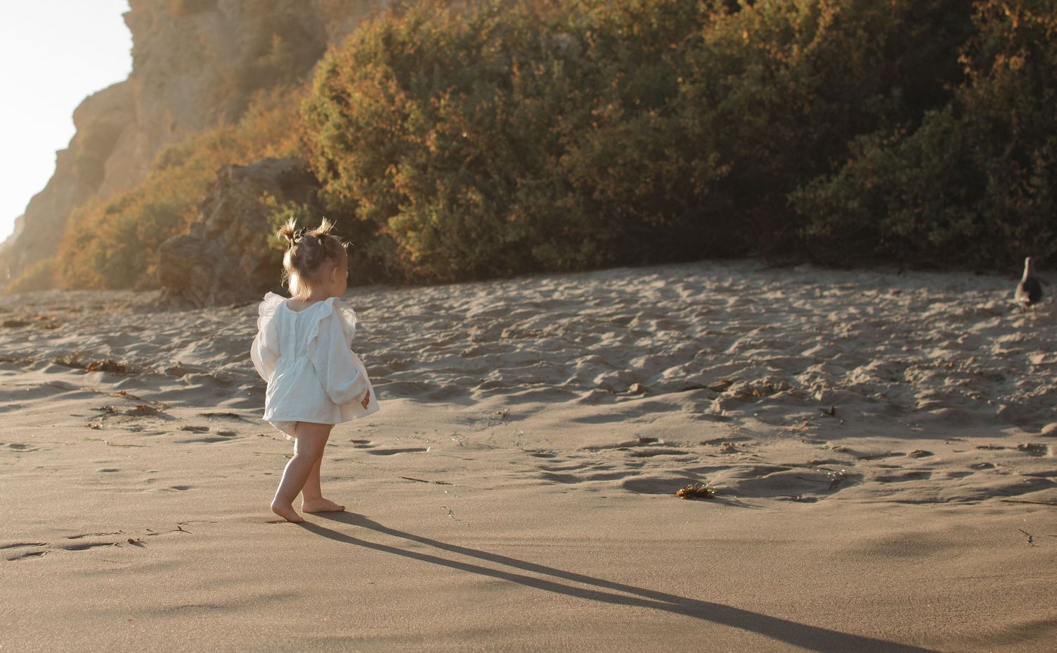 A toddler in a white dress walks barefoot on a sandy beach with green cliffs and golden sunset light.
