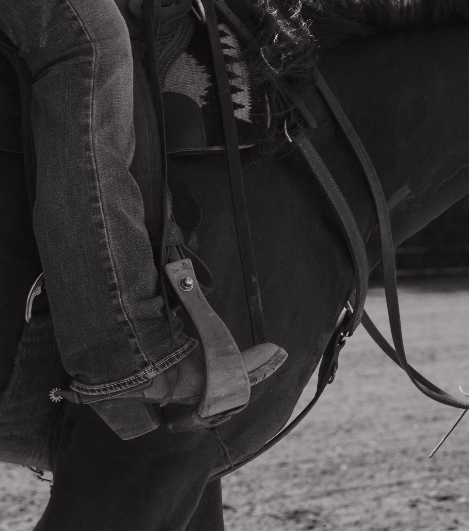 Black and white close-up of a cowboy boot in a stirrup on a dark horse with leather saddle straps.