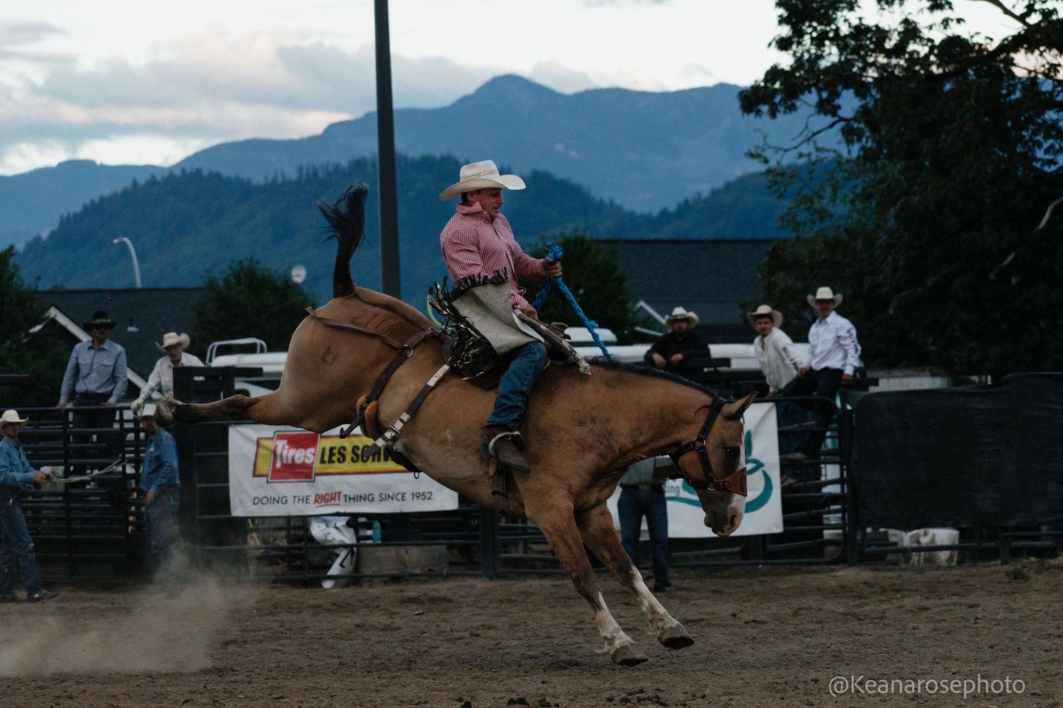 Cowboy in pink shirt rides a bucking bronco at a rodeo with mountains in the background.