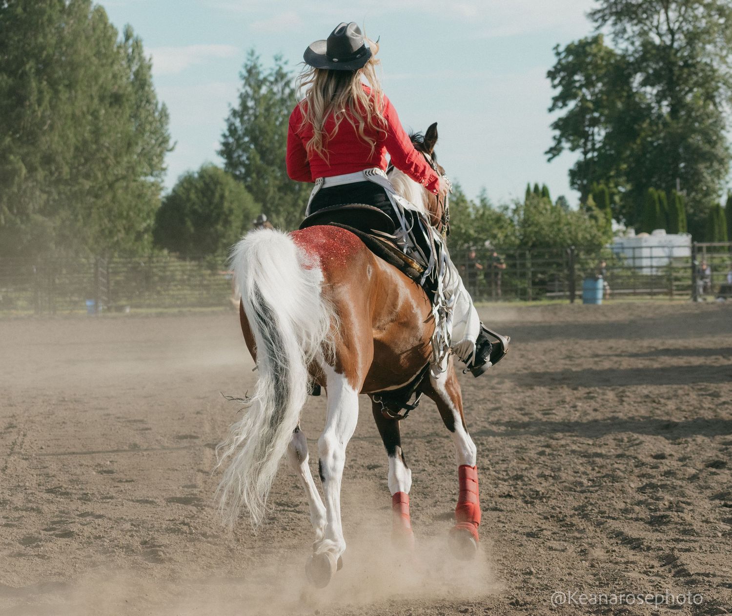 Female rider in red shirt gallops palomino horse with flowing white mane in dusty arena.