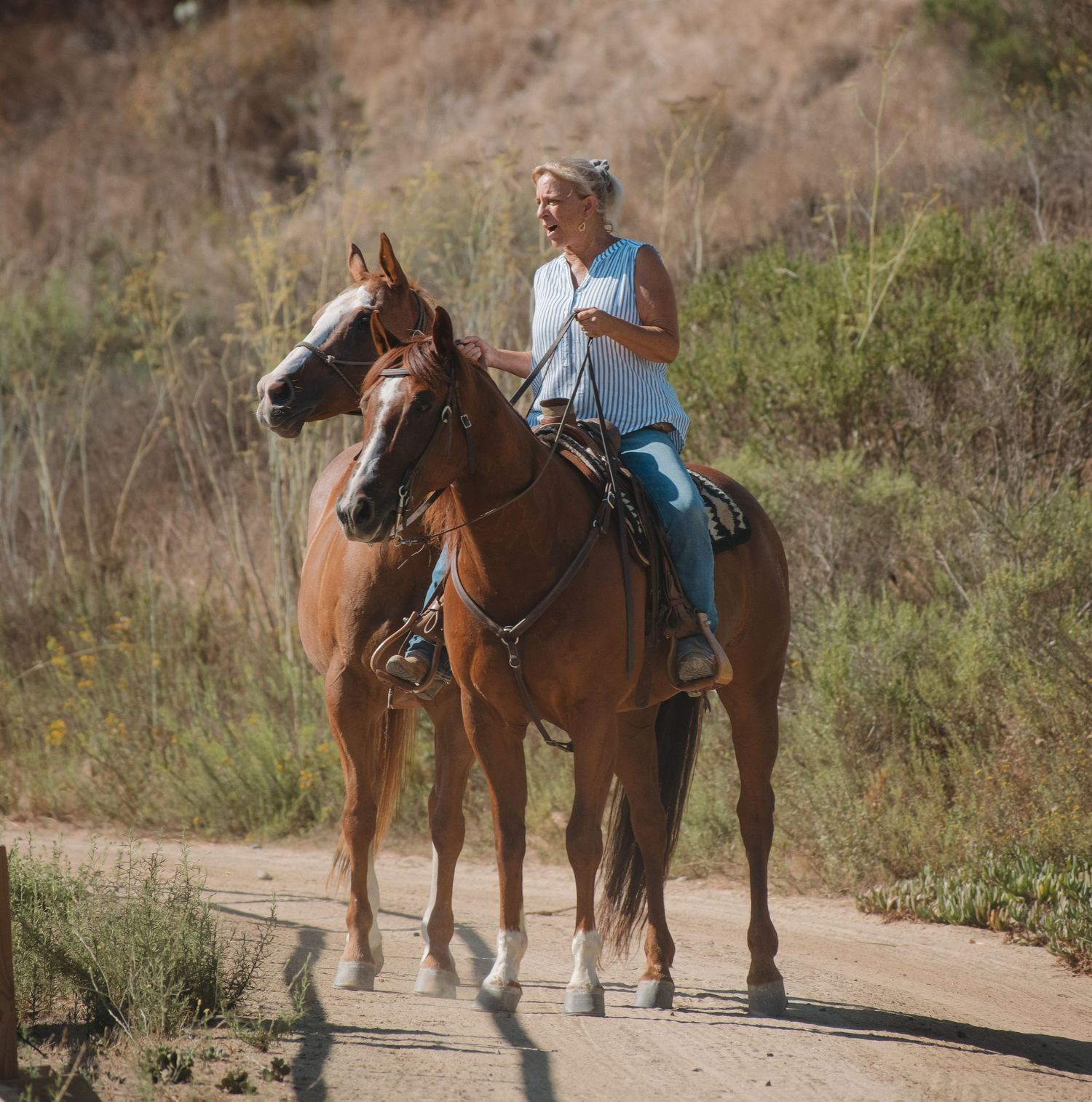 Woman riding a chestnut horse on a sunny dirt trail surrounded by green shrubs and hills.