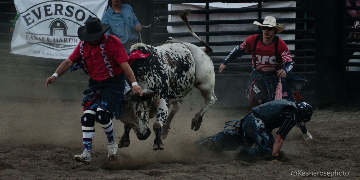 Rodeo clowns distract a charging bull to protect a fallen rider in the arena.