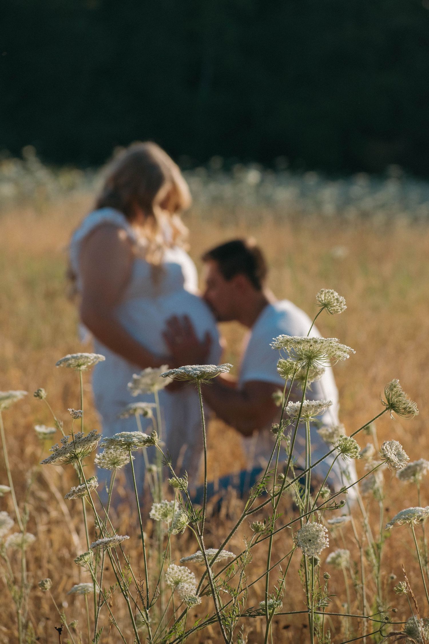 Pregnant couple in a golden field, man kneeling kissing baby bump, surrounded by wildflowers in warm sunlight.