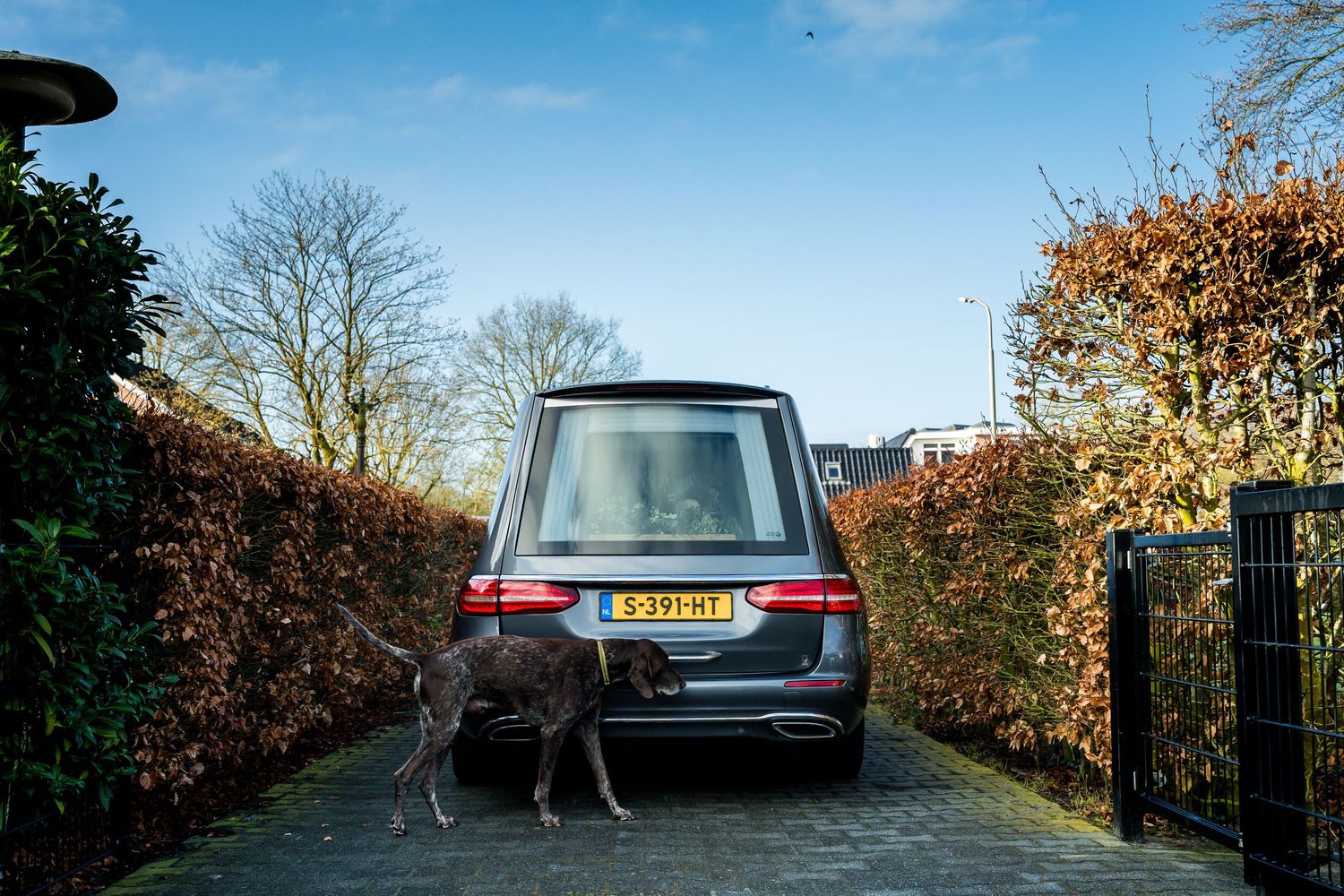 Dieren nemen ook afscheid.