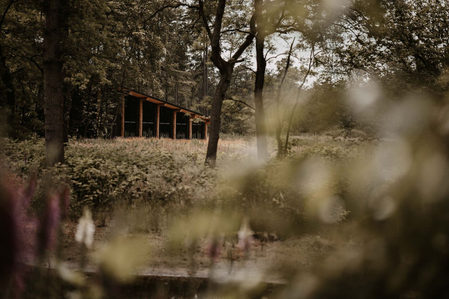 uitvaartfotograaf
afscheidsfotograaf
rouwfotografie
uitvaart reportage
afscheidsreportage
foto’s van de uitvaart
herinneringen na de uitvaar