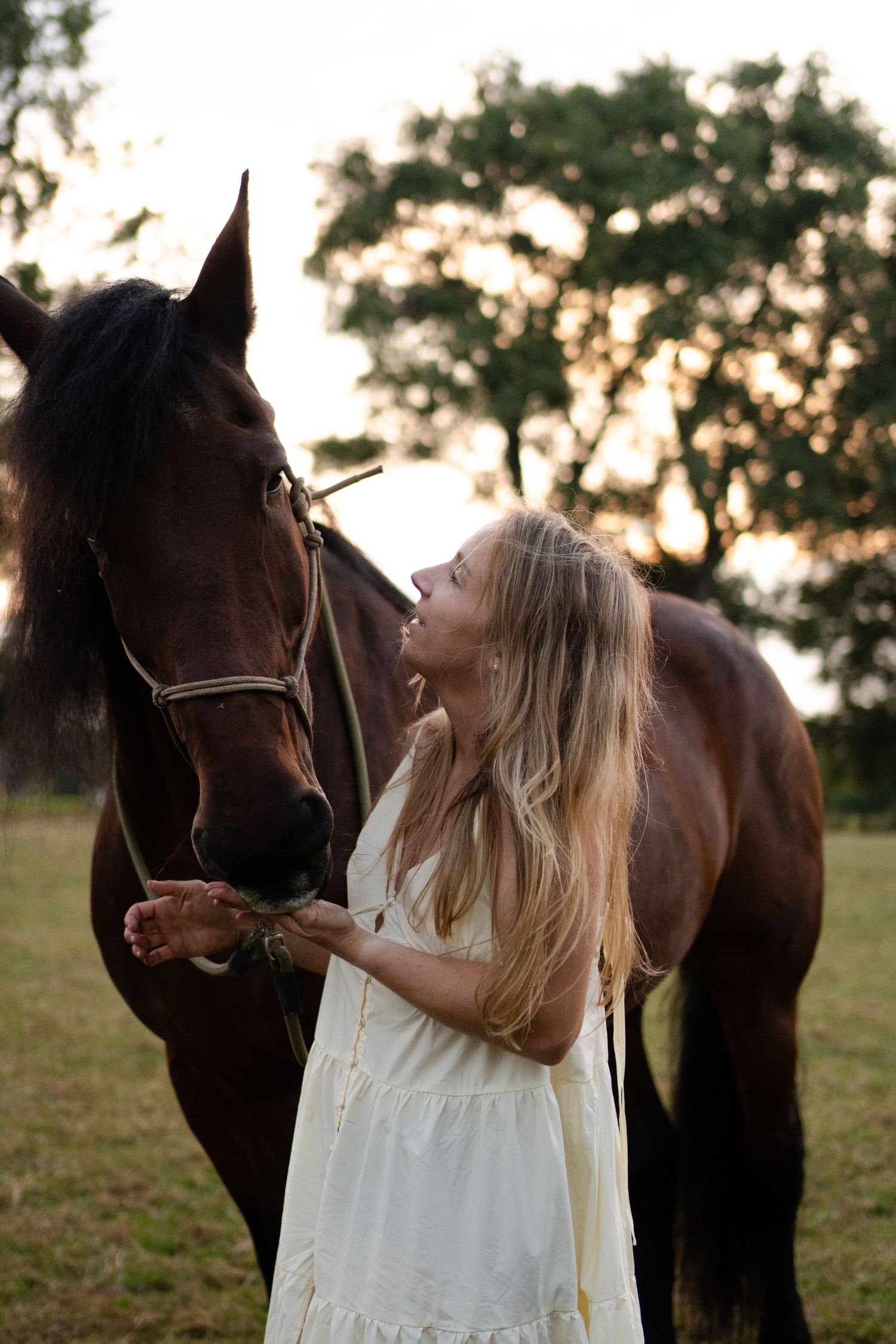 Blonde woman in white dress feeding a dark brown horse by hand in a golden hour field. by Soft Sacred Studios