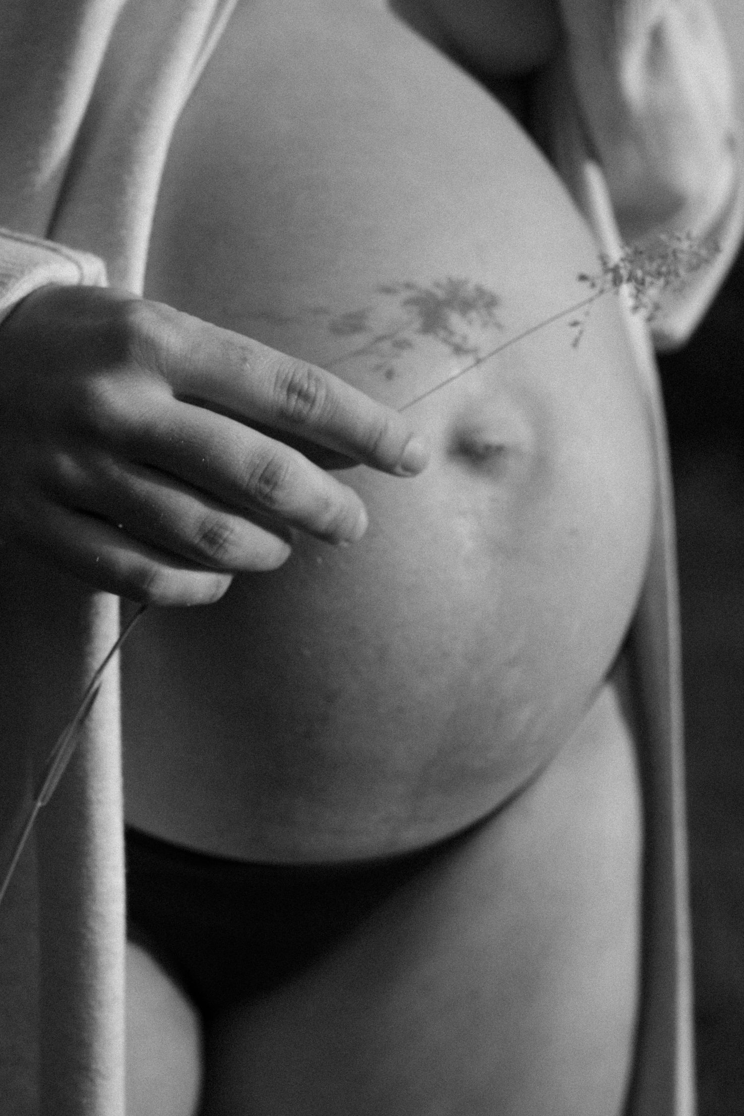 Black and white close-up of pregnant belly with a delicate wildflower stem held gently by hand. By Soft Sacred Studios.