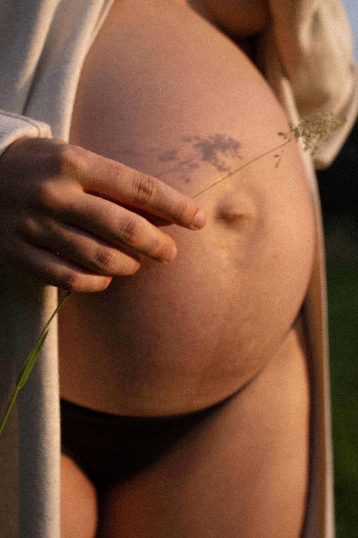 Close-up of pregnant belly in warm golden light with a delicate wildflower stem held by hand. By Soft Sacred Studios.