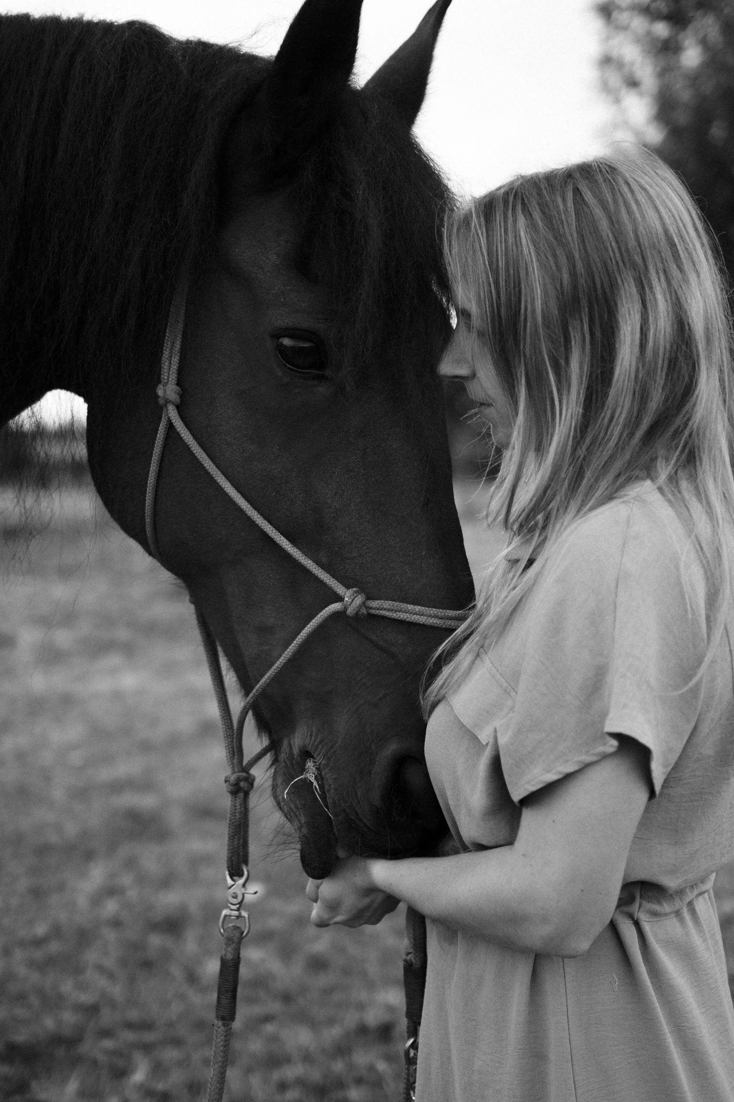 Black and white close-up of a blonde woman gently pressing her face against a dark horse. by Soft Sacred Studios