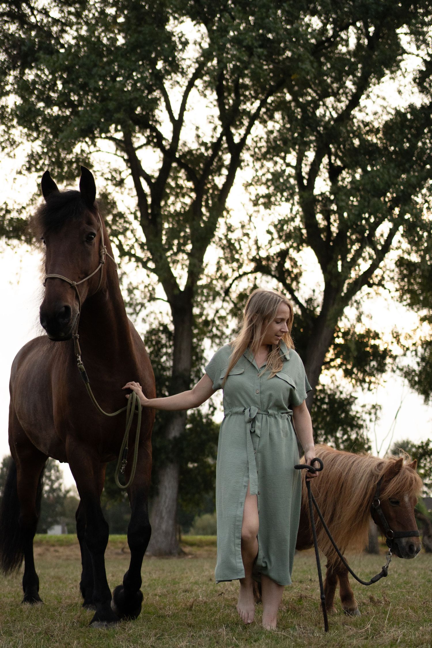 Blonde woman in green dress leading a dark horse and small pony through a tree-lined field. by Soft Sacred Studios
