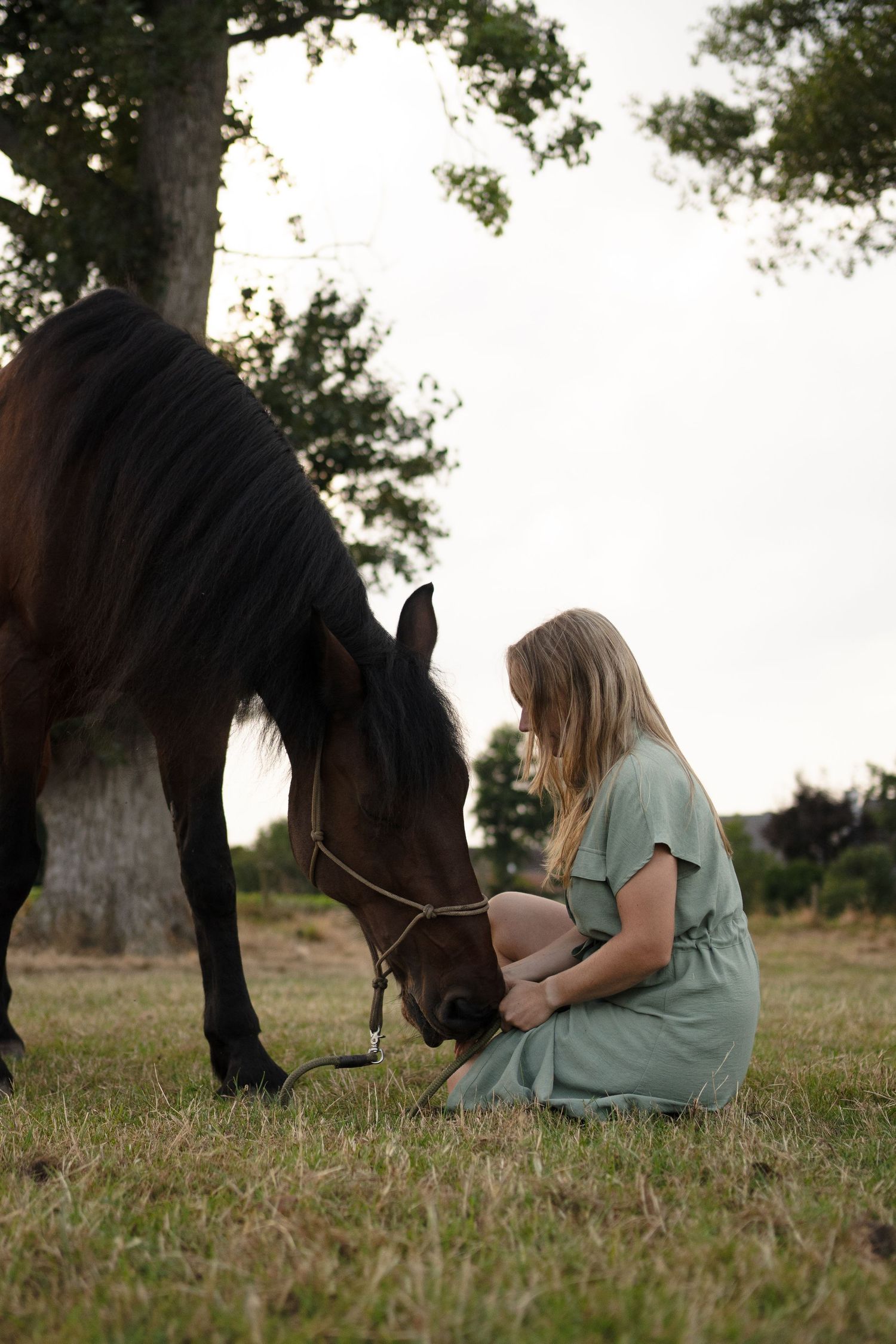 Blonde woman in green dress sitting beside a dark horse grazing under large trees outdoors. by Soft Sacred Studios