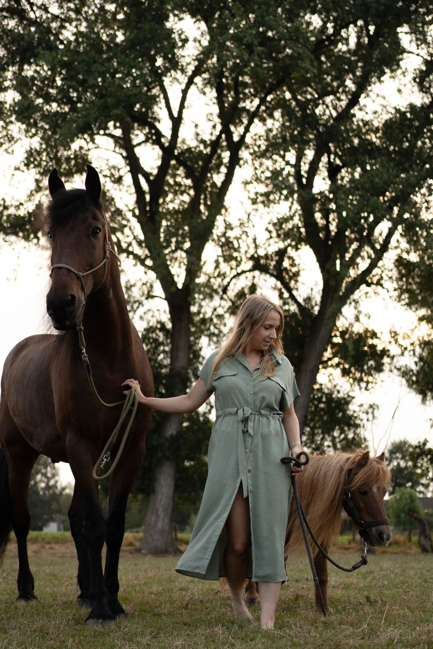 Blonde woman in sage green dress walking with a dark horse and small pony at sunset. by Soft Sacred Studios