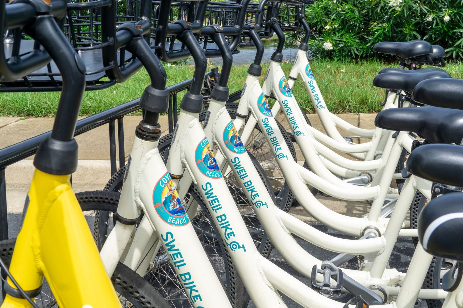 Row of bikes.