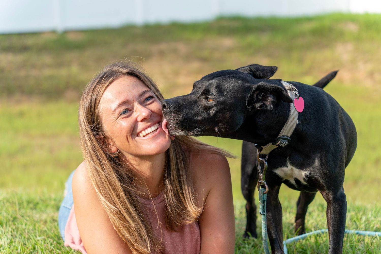 dog and human