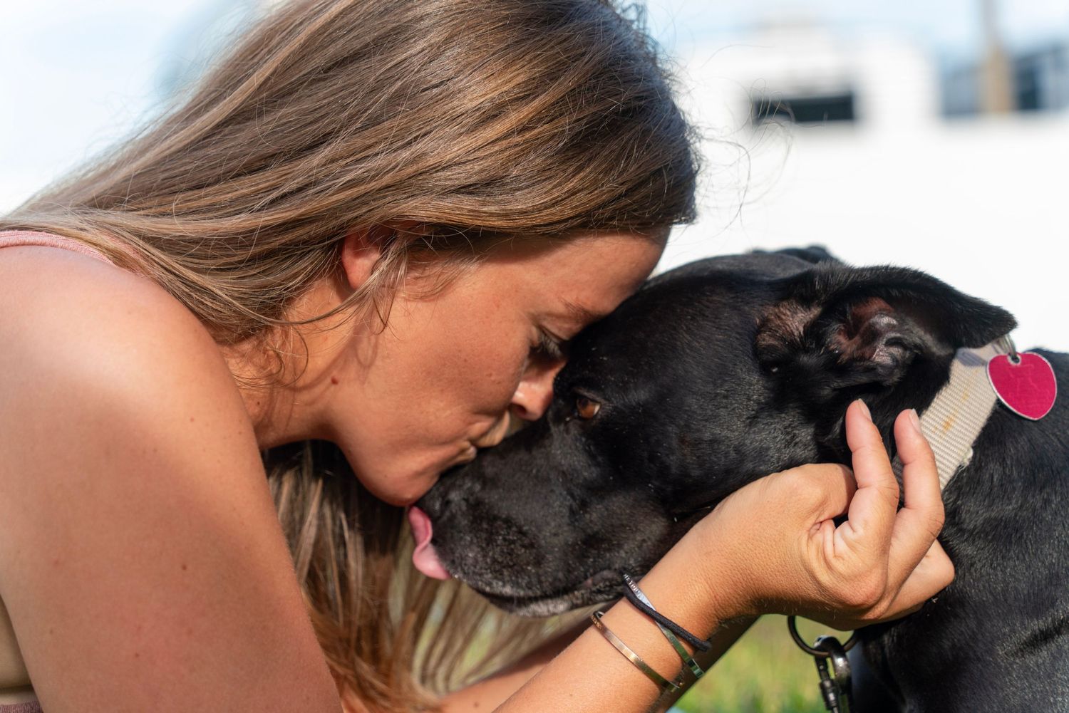 dog and human