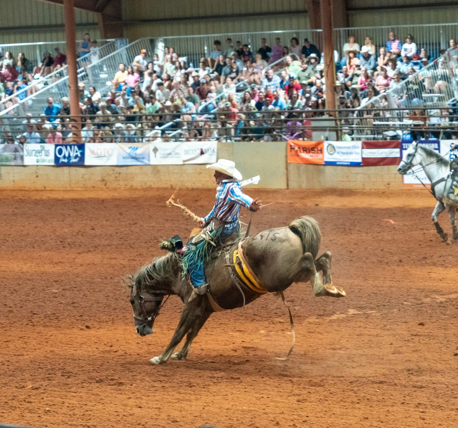 bronc riding