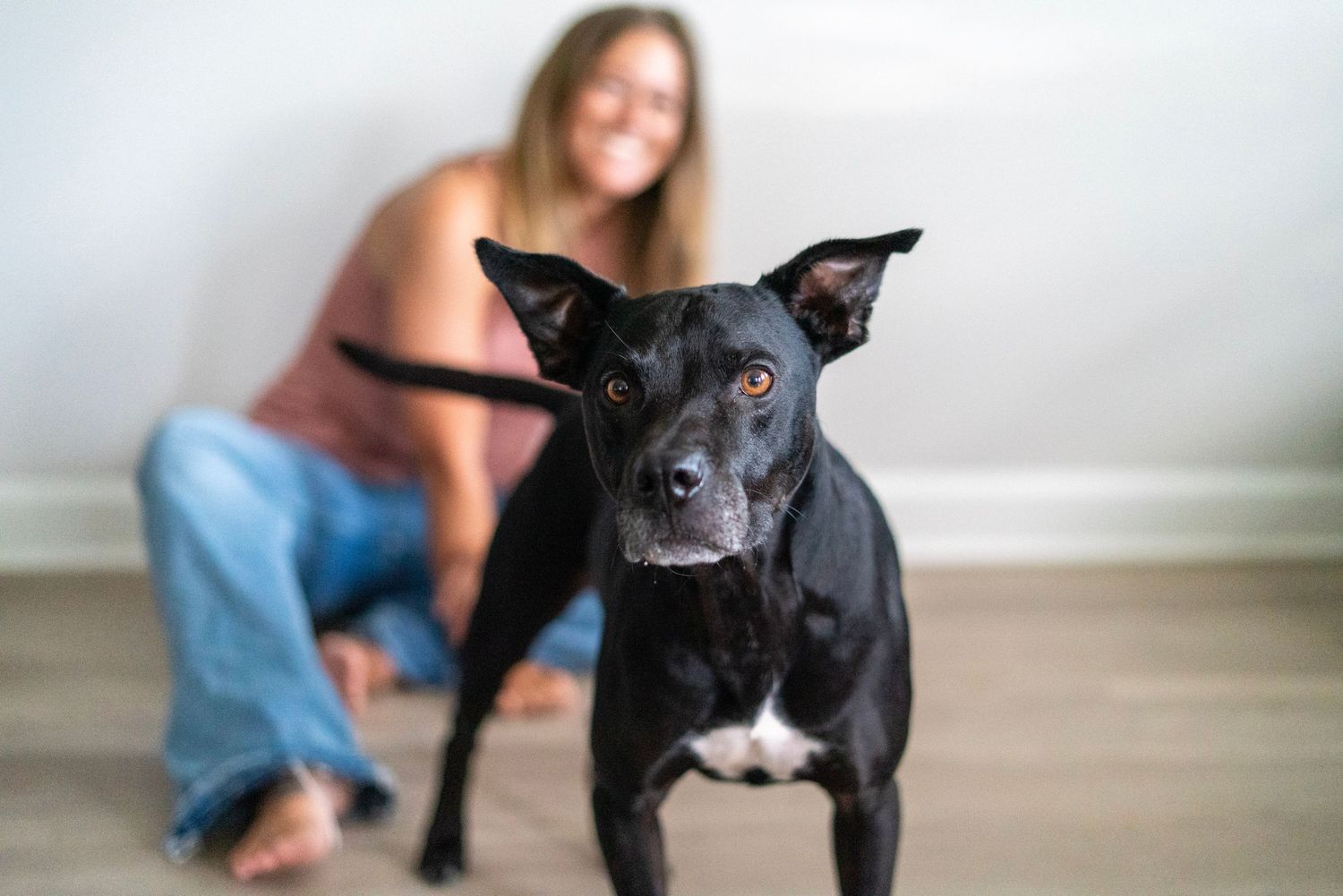 dog and human